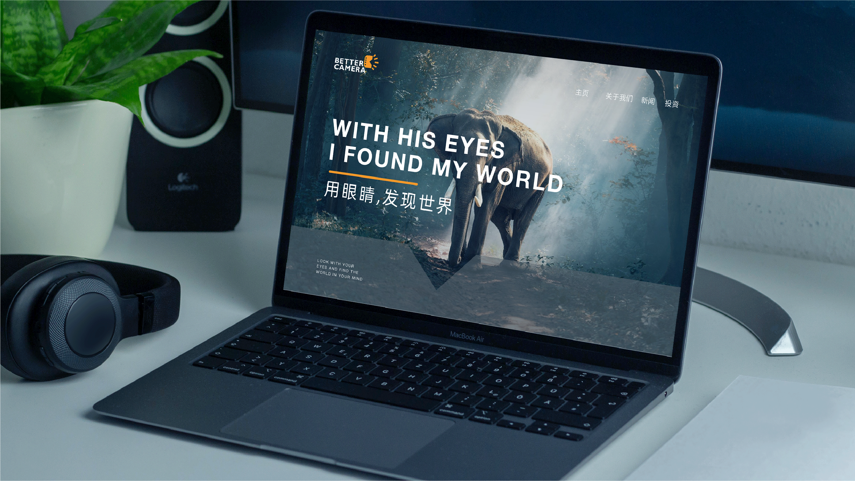 Brand design，Logo design，Extension design，logo，