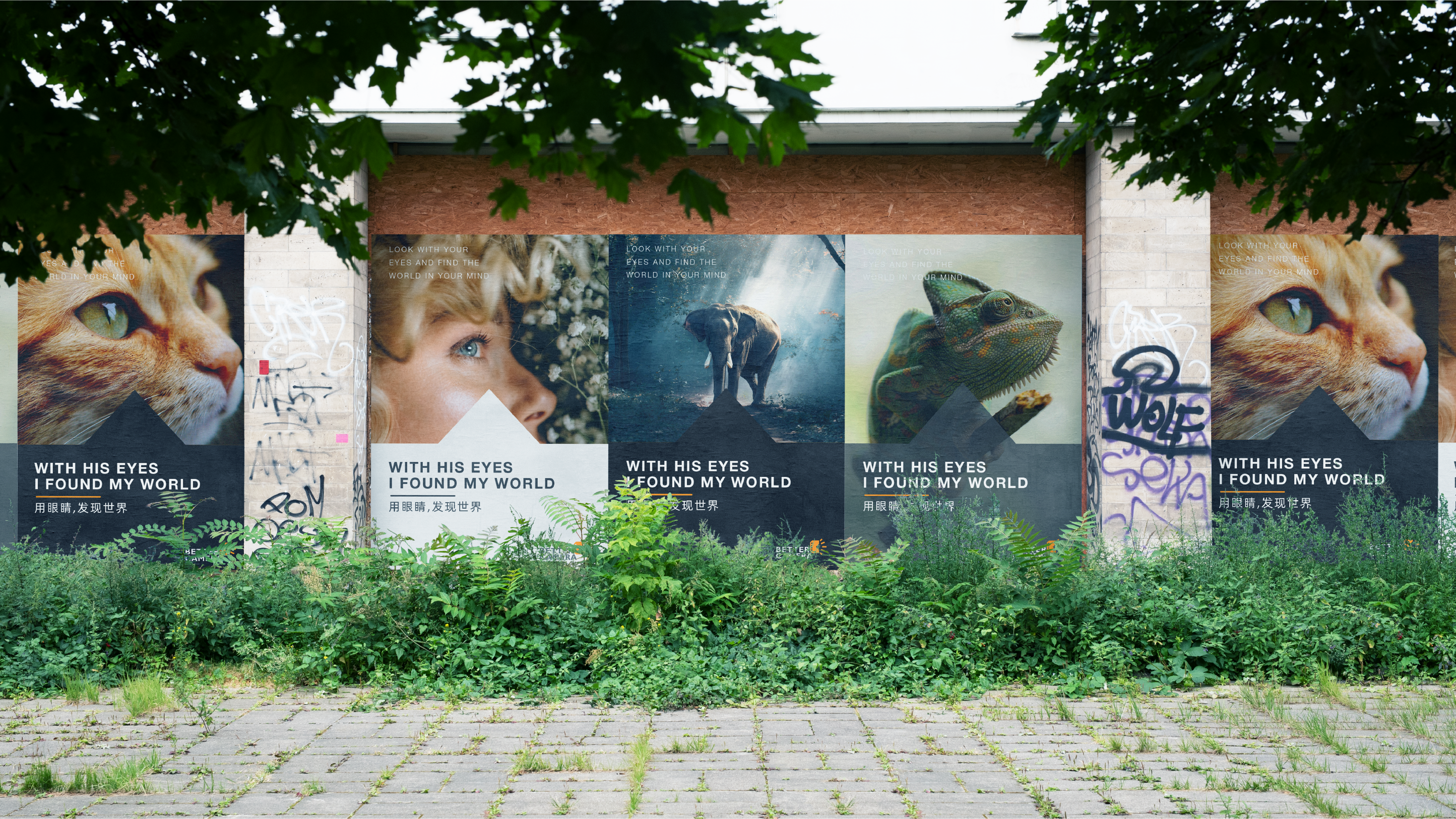 Brand design，Logo design，Extension design，logo，