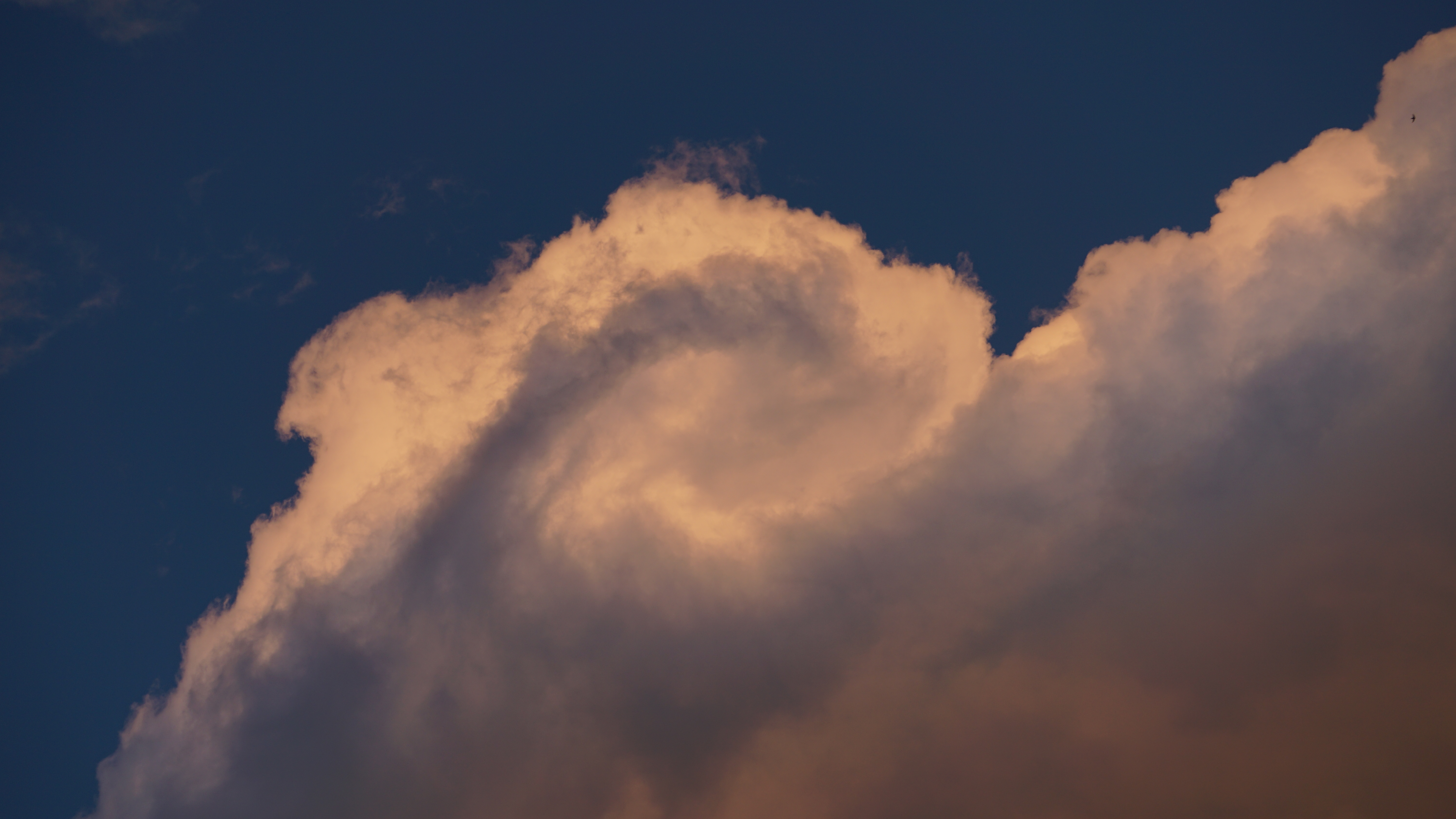 Cultural creation，Yunnan，bowl，Spoon，peacock，Travel，Keepsake，scenery，