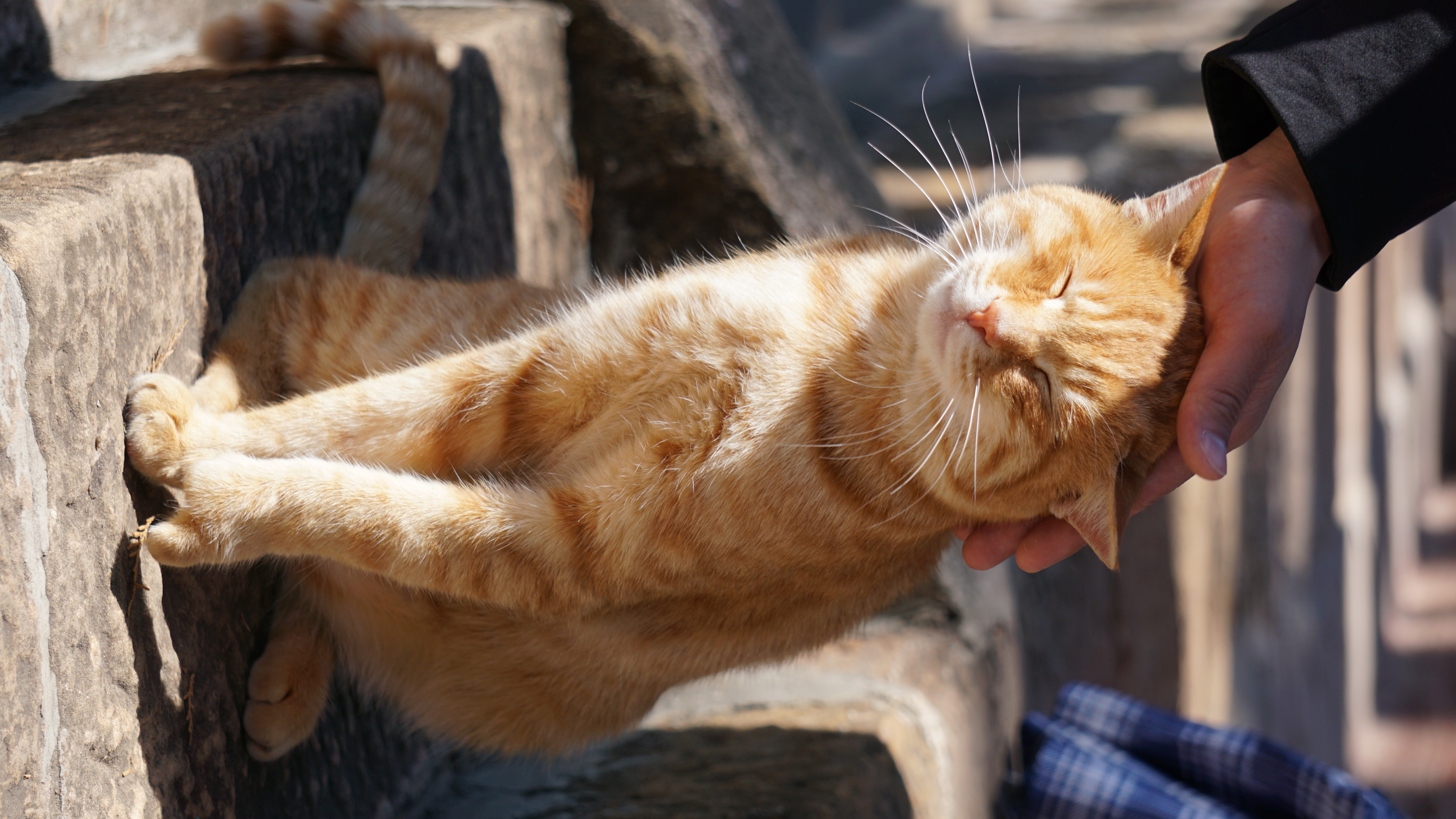 Cultural creation，Yunnan，bowl，Spoon，peacock，Travel，Keepsake，scenery，
