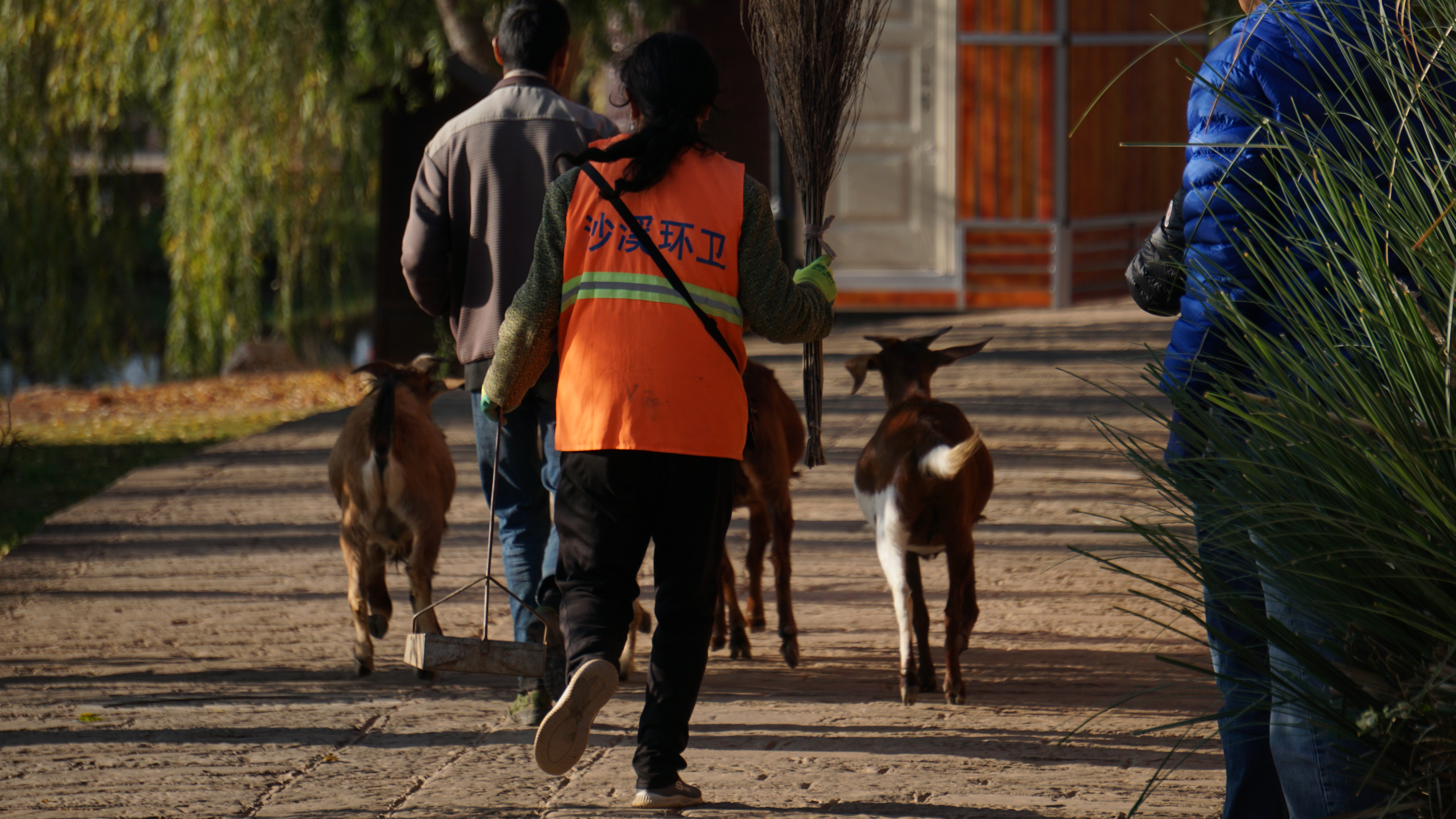 Cultural creation，Yunnan，bowl，Spoon，peacock，Travel，Keepsake，scenery，