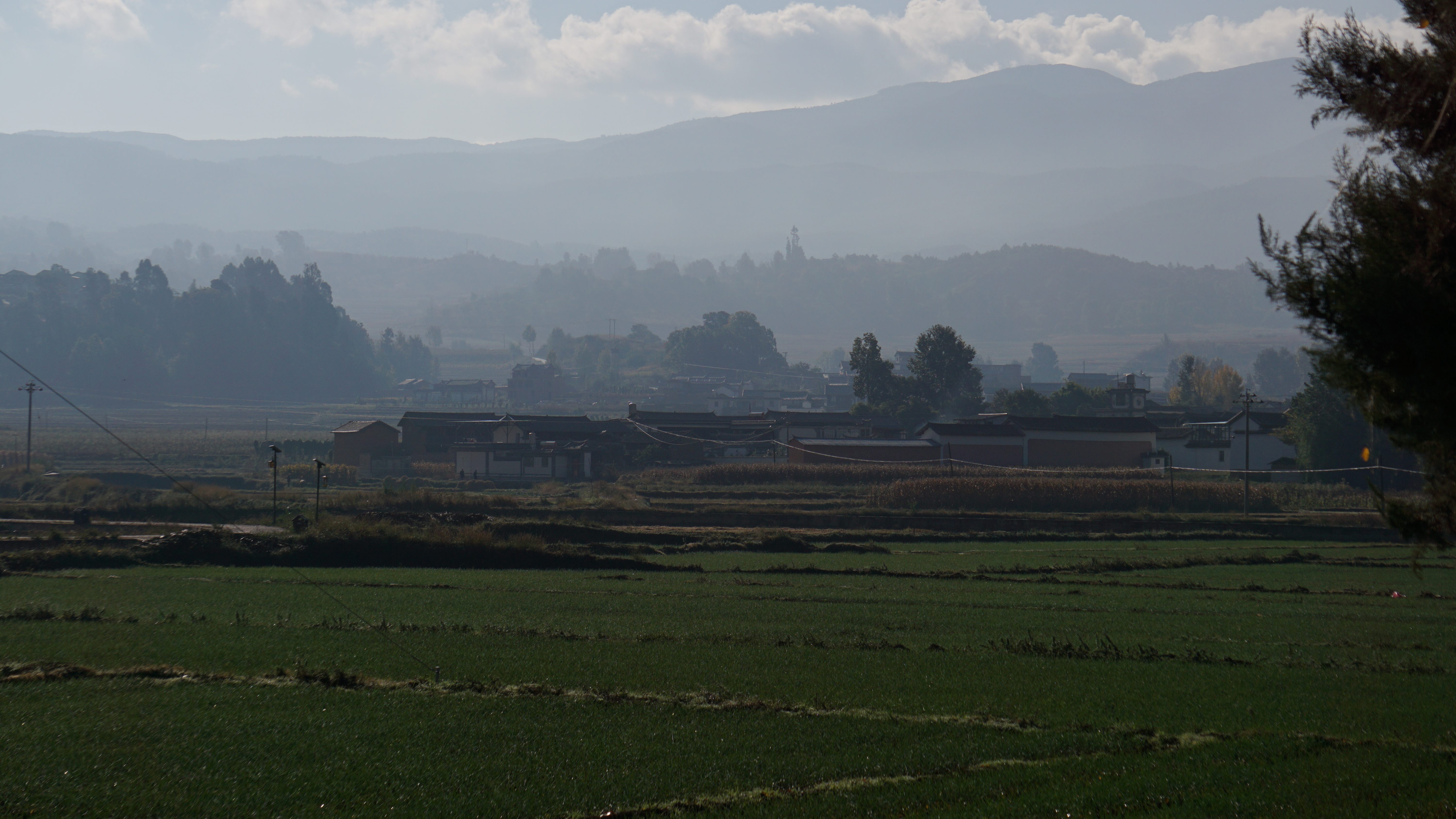 Cultural creation，Yunnan，bowl，Spoon，peacock，Travel，Keepsake，scenery，