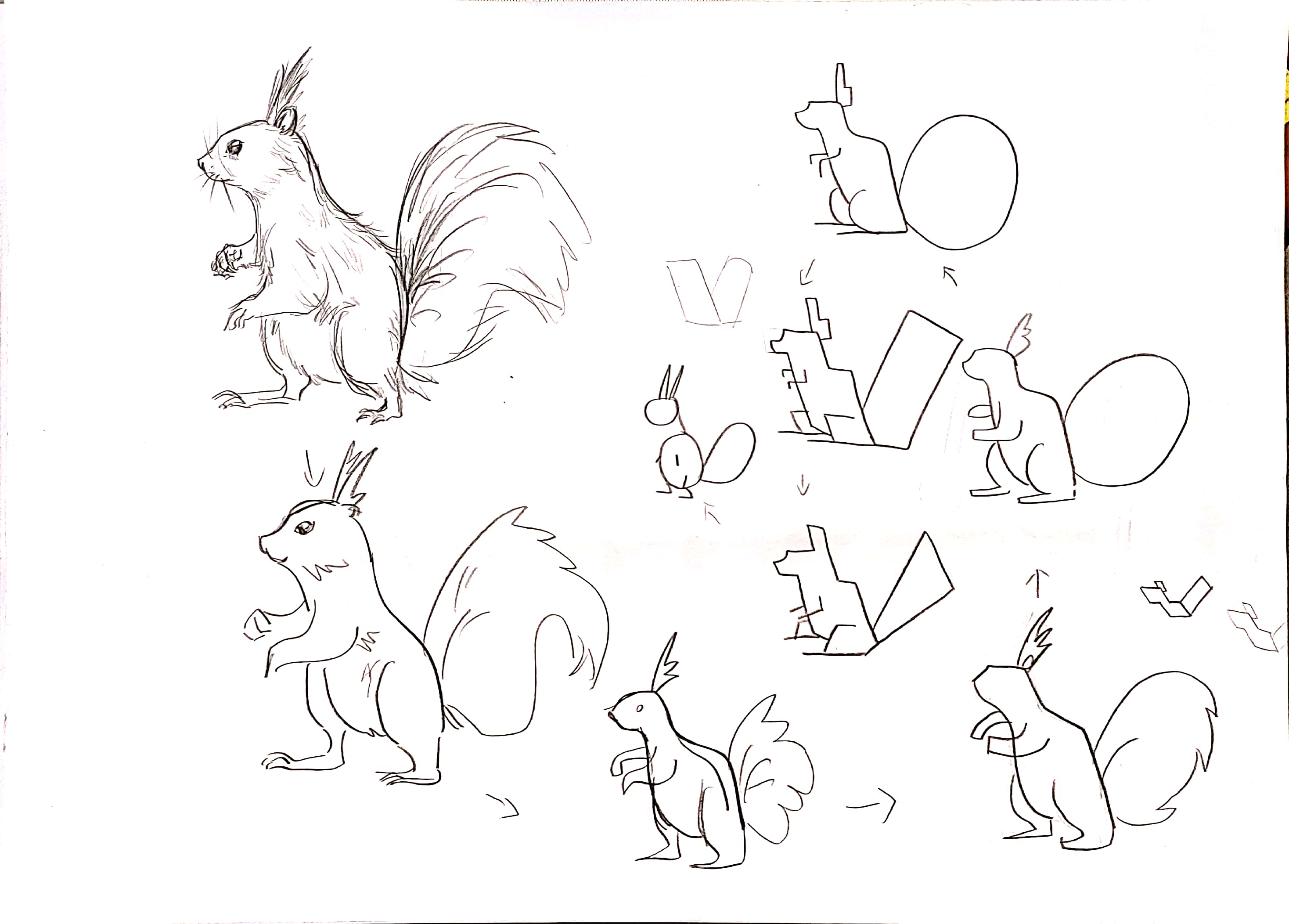 bionics，animal，modelling，household electrical appliances，