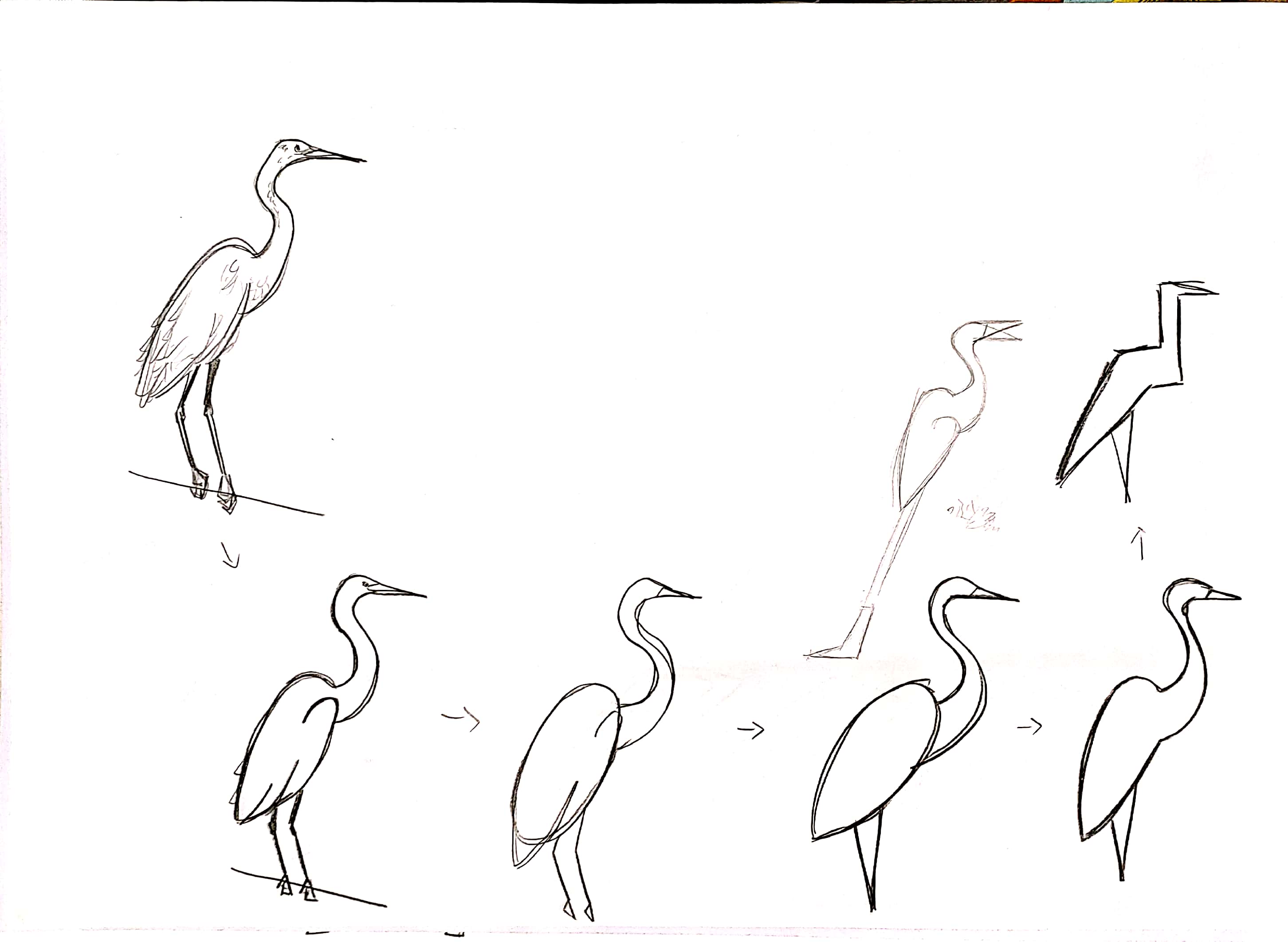 bionics，animal，modelling，household electrical appliances，