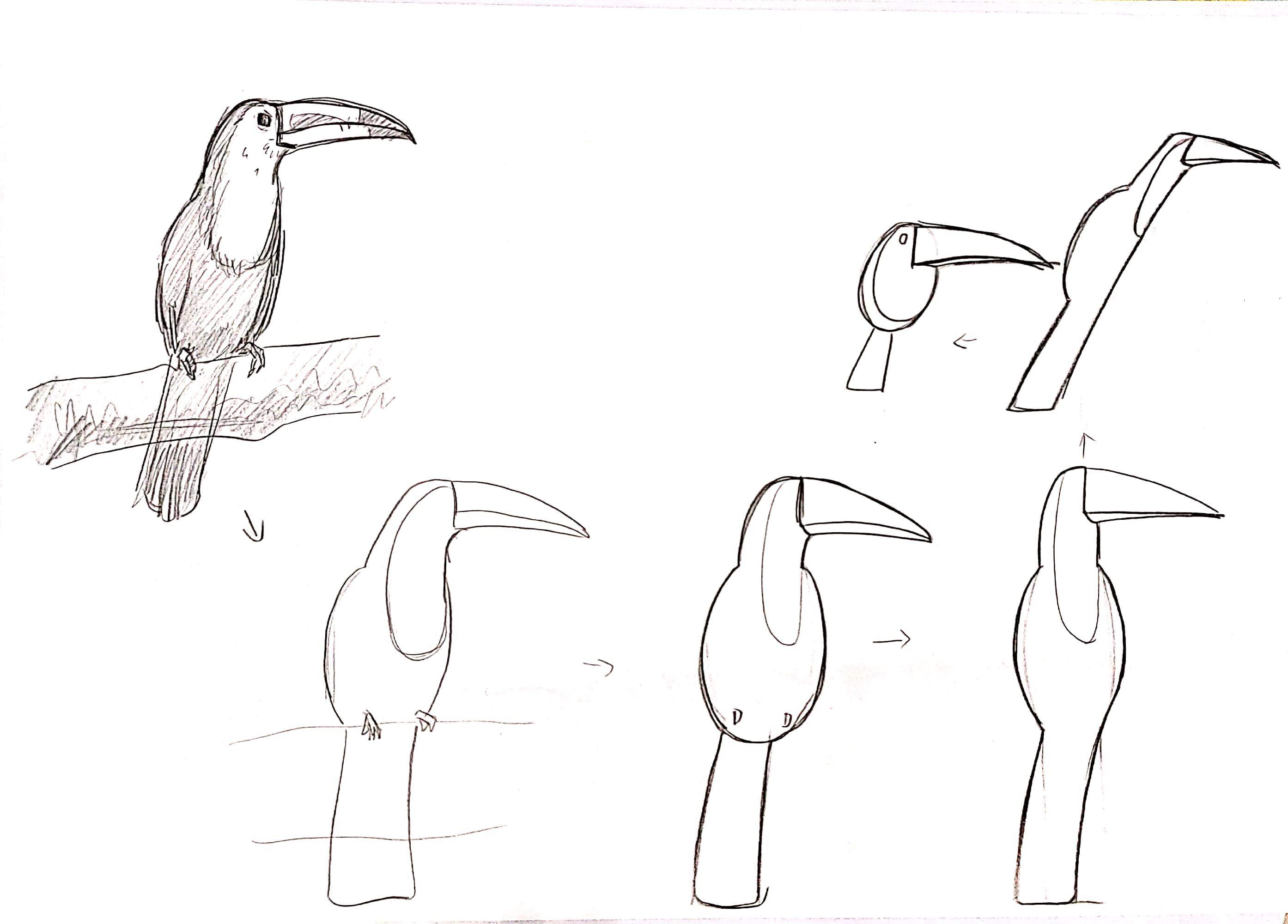 bionics，animal，modelling，household electrical appliances，