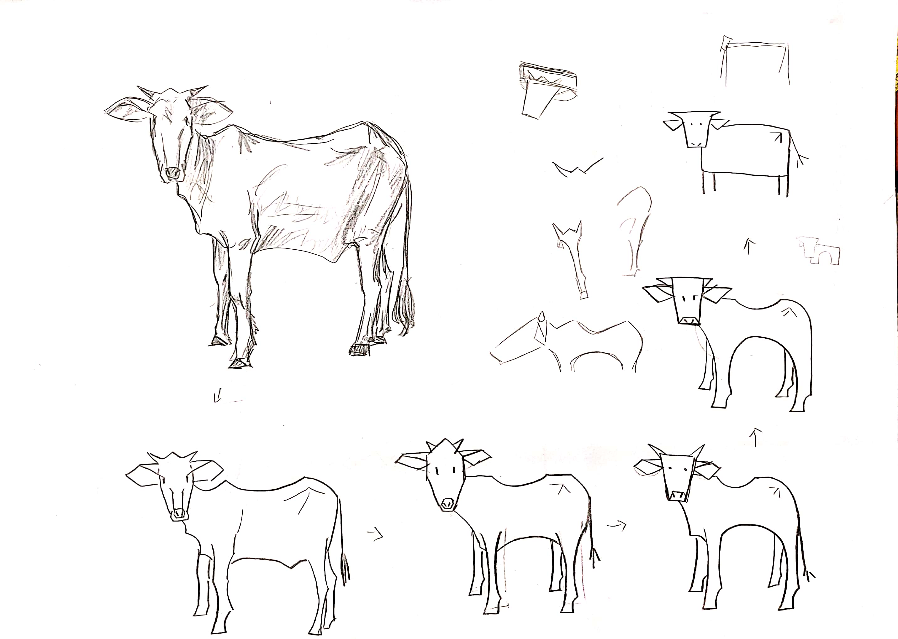 bionics，animal，modelling，household electrical appliances，