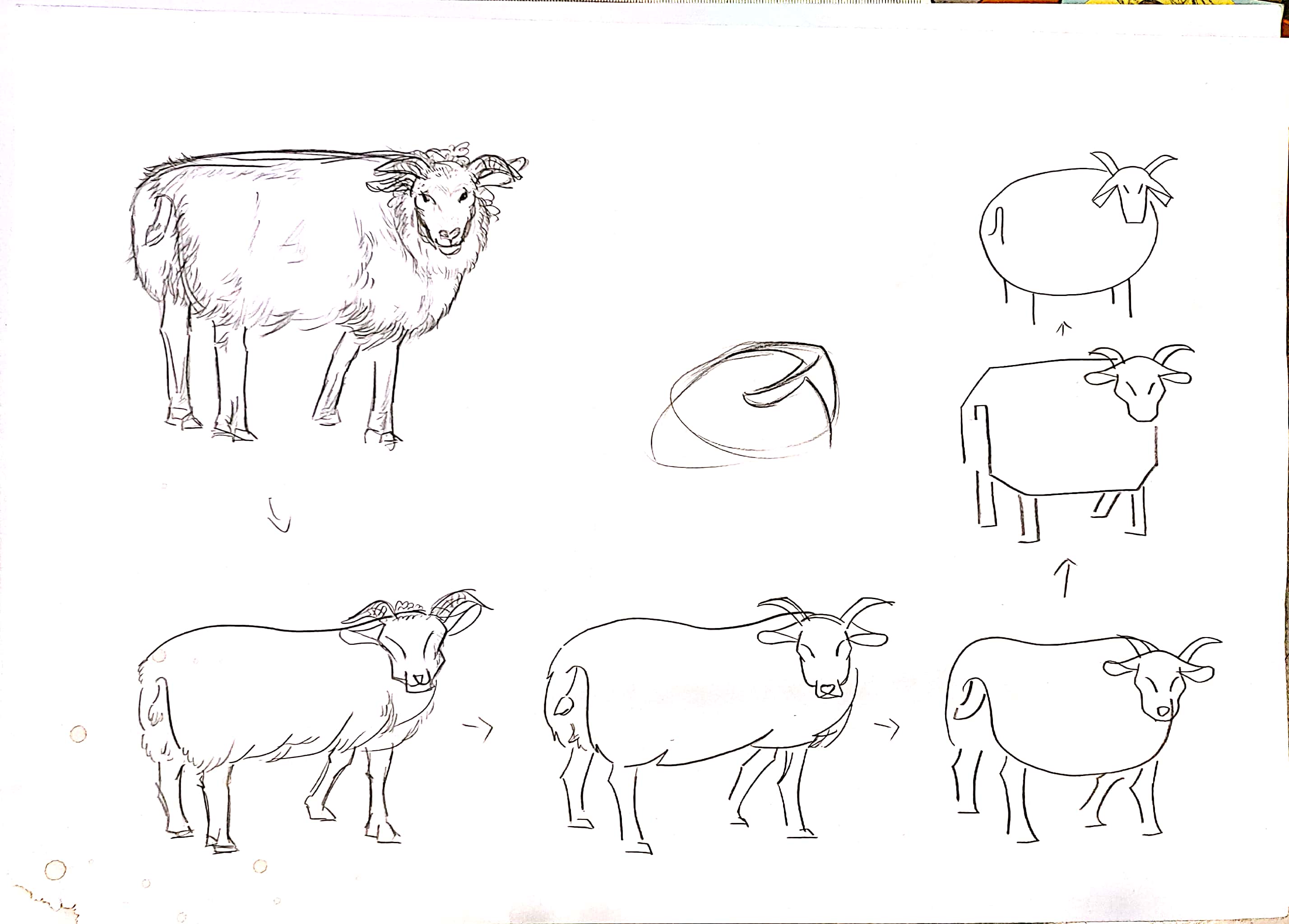 bionics，animal，modelling，household electrical appliances，