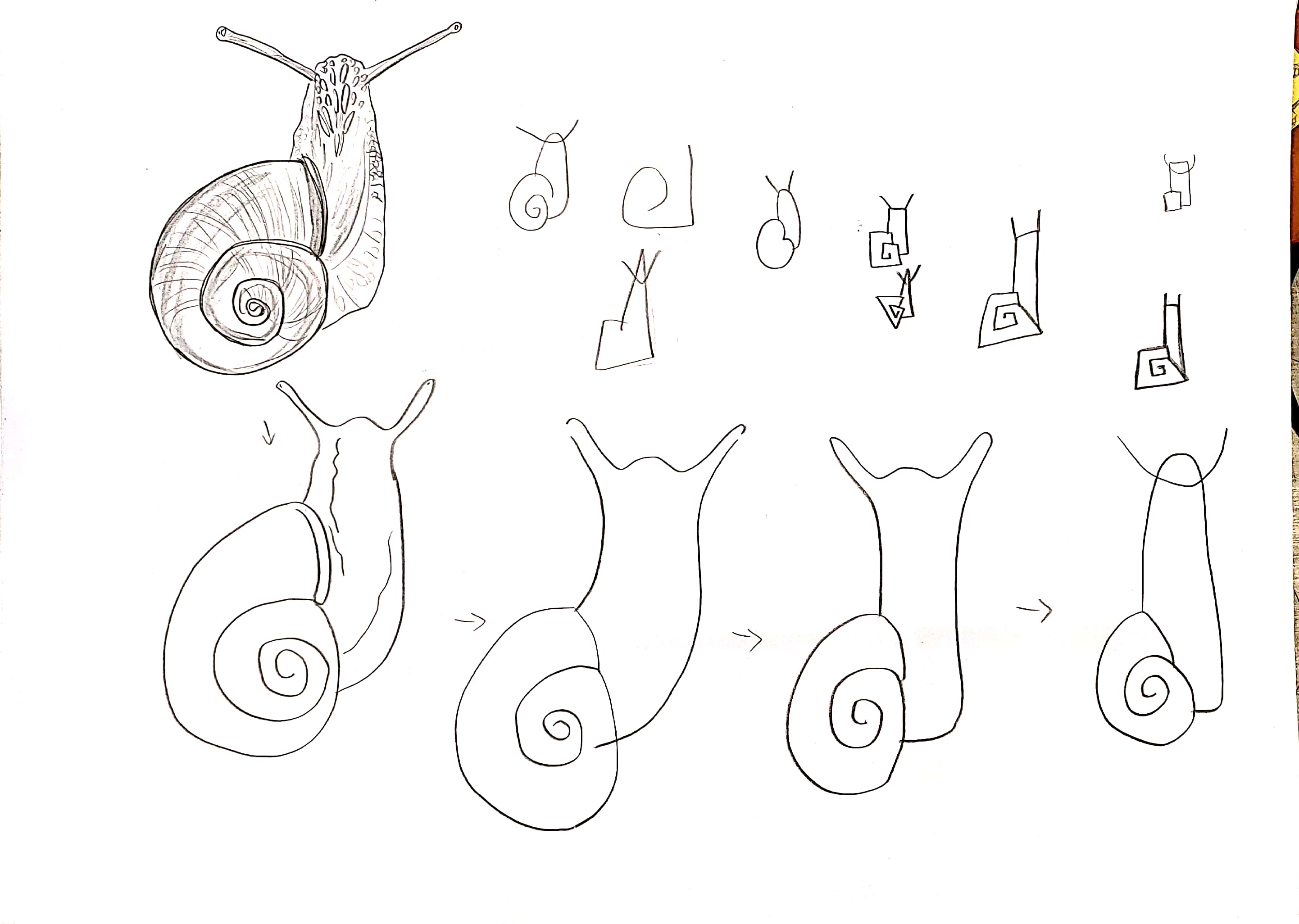 bionics，animal，modelling，household electrical appliances，