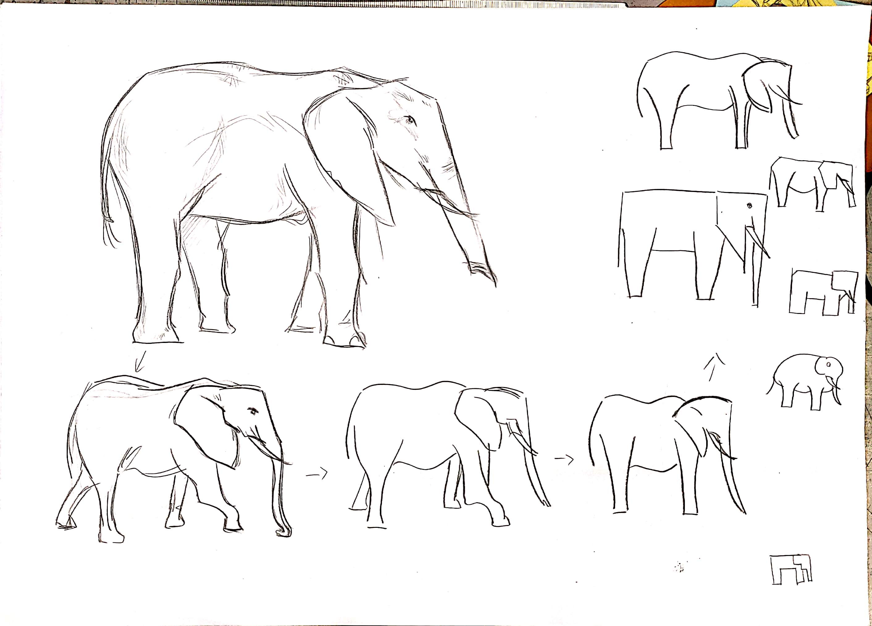 bionics，animal，modelling，household electrical appliances，