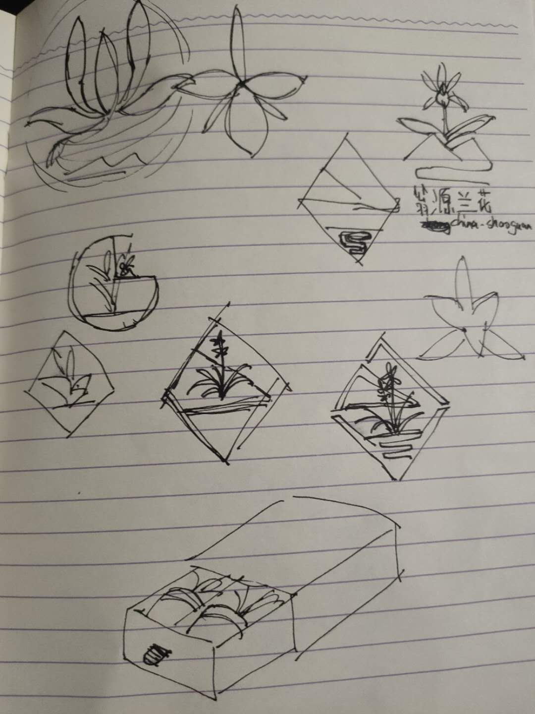 Cultural creation，packing，appearance，orchid，reticule，