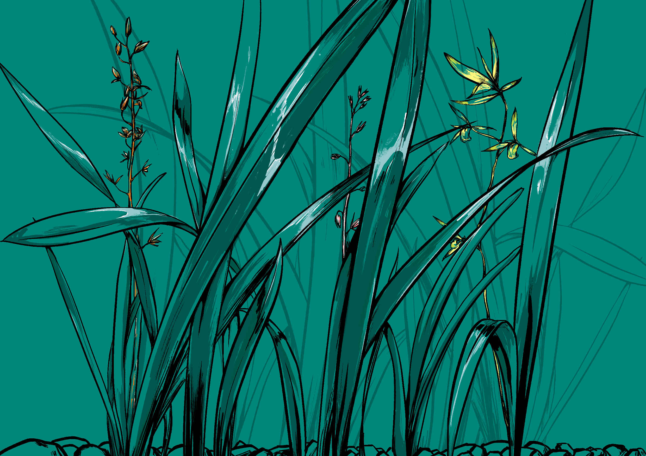 Cultural creation，packing，appearance，orchid，reticule，