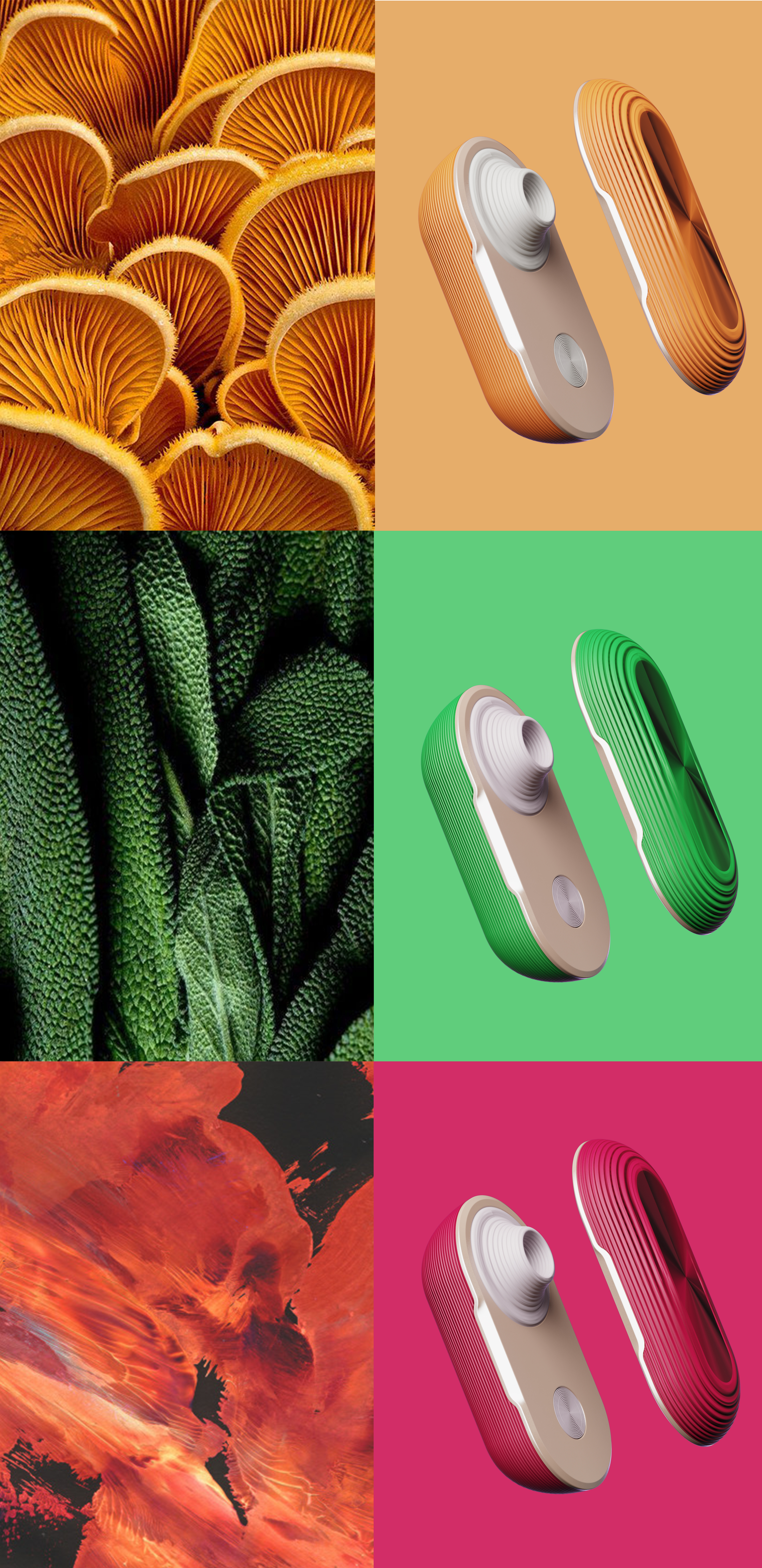 concise，healthy，New biochemistry，