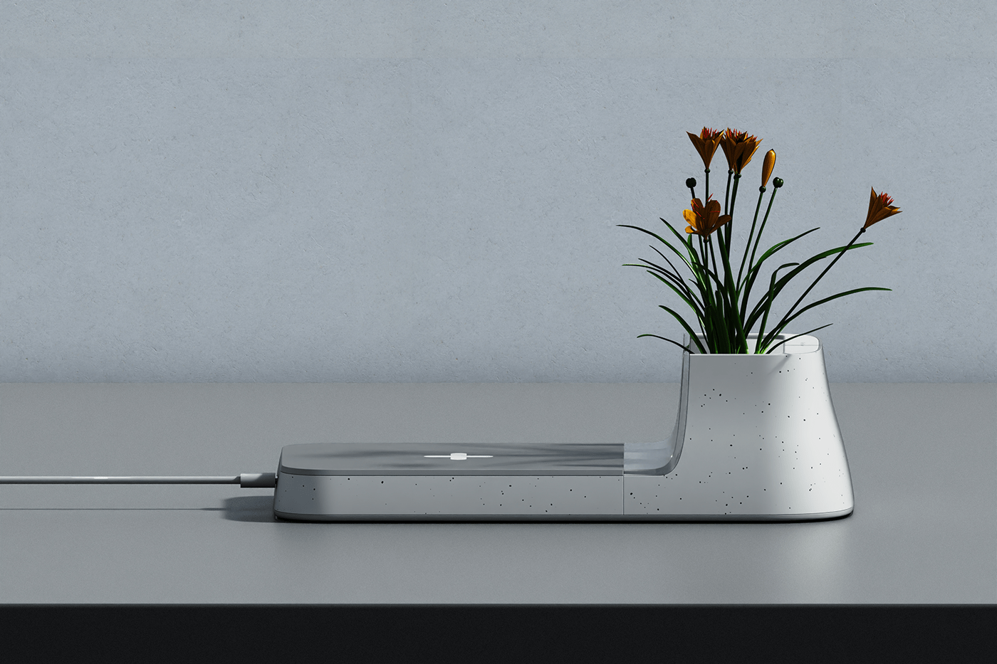 Worth-flower，desk，Flowerpot，Charger，