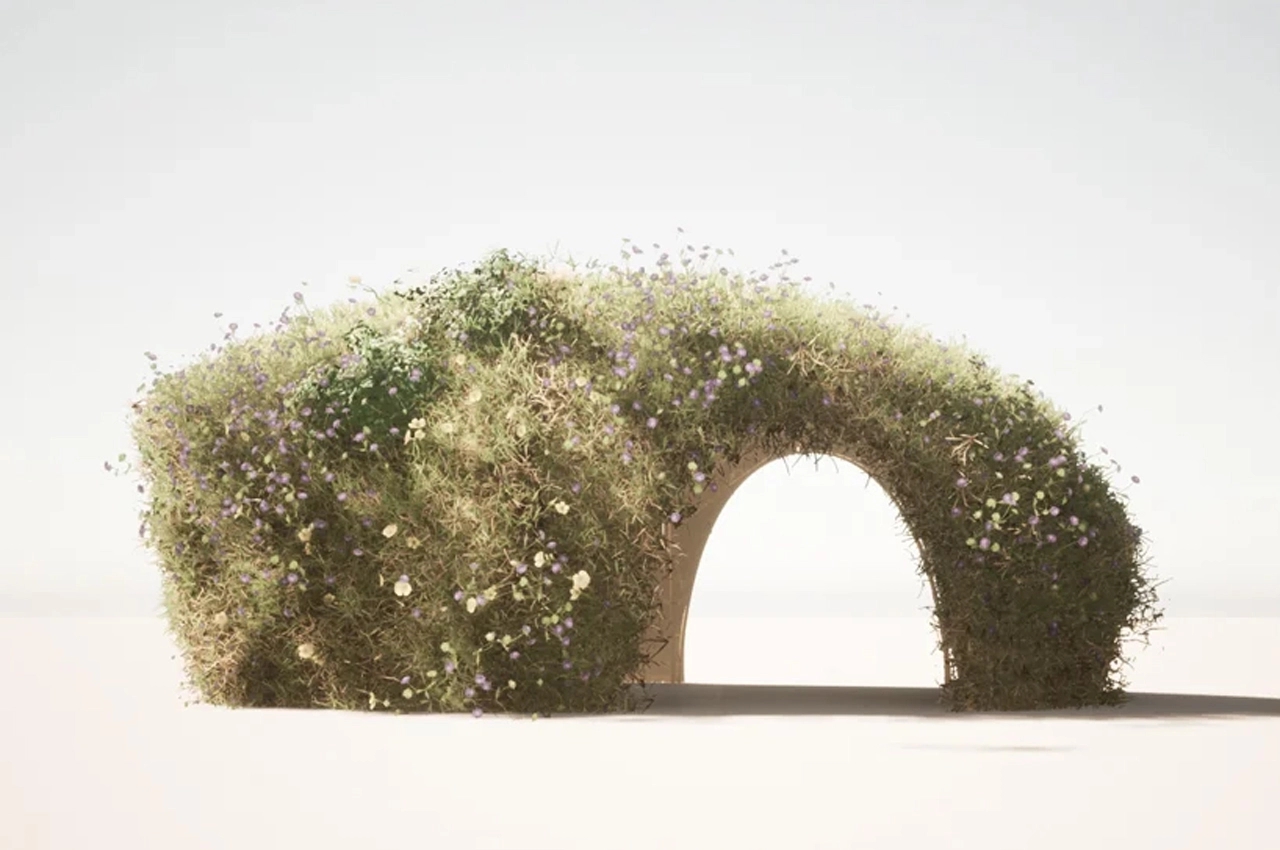 Architecture，natural，felt，