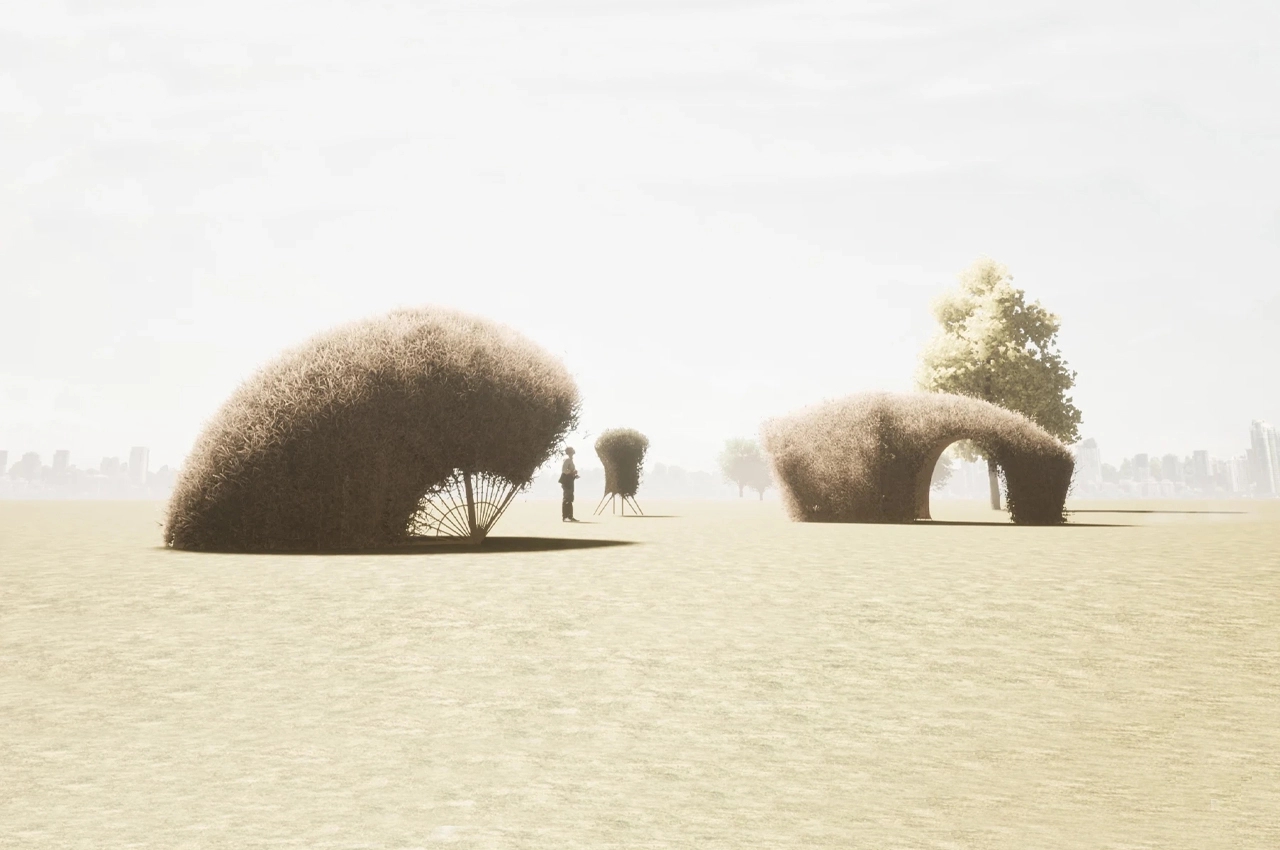 Architecture，natural，felt，