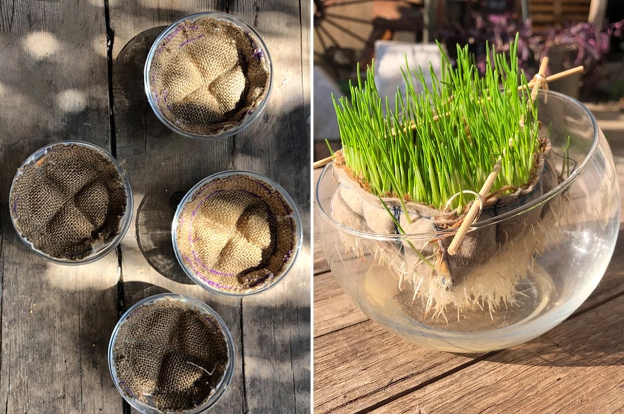 Architecture，natural，felt，