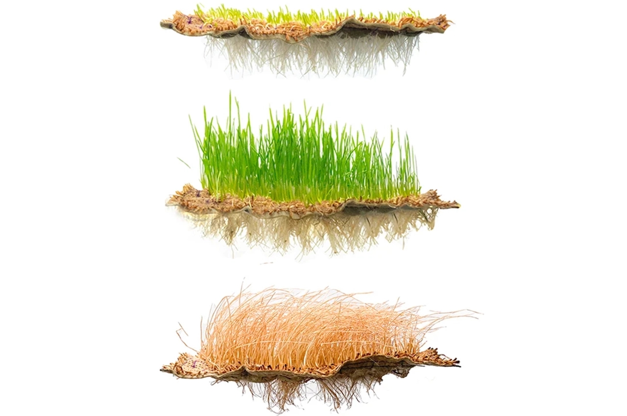 Architecture，natural，felt，