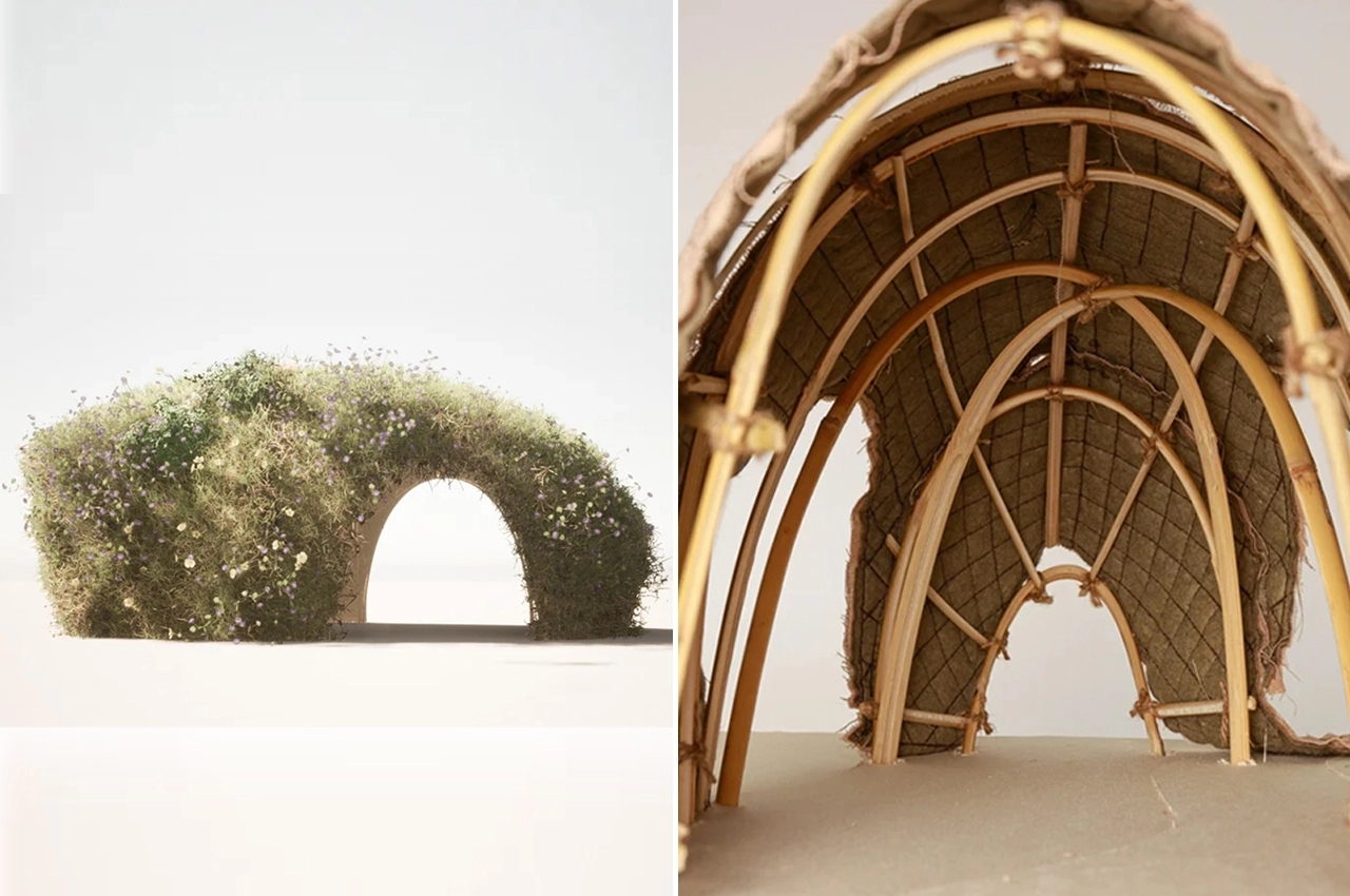 Architecture，natural，felt，