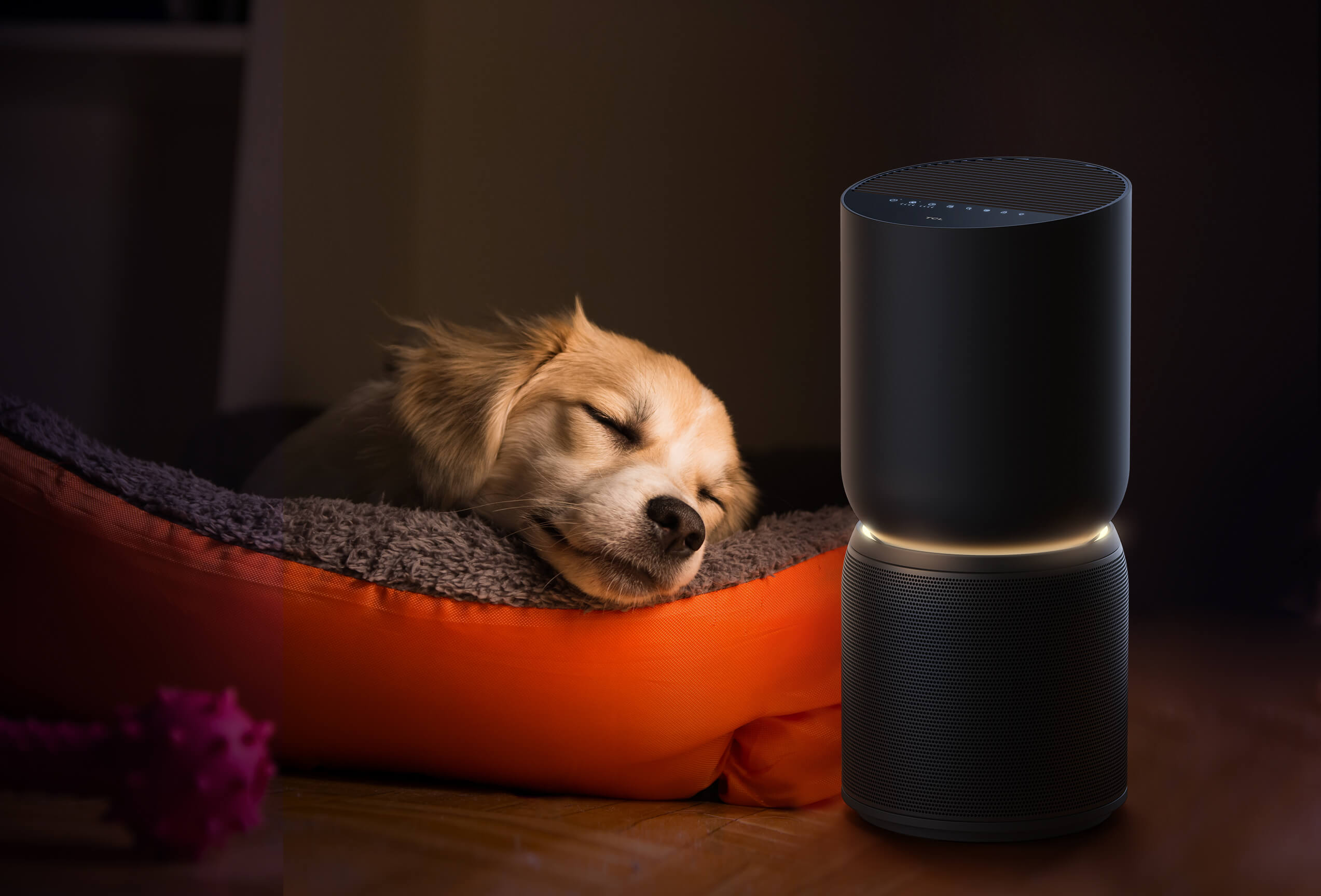 air cleaner，black，lamp，2021 red dot product design award，tcl，