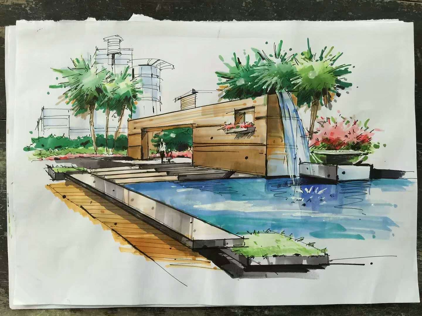 Marker works，Tropical plants，palmae，