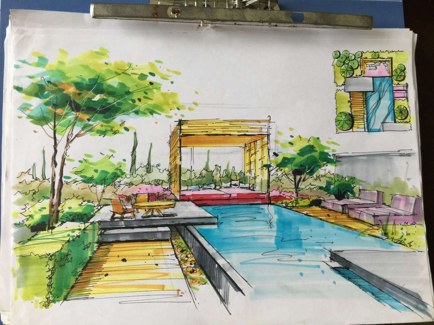 Marker works，Tropical plants，palmae，