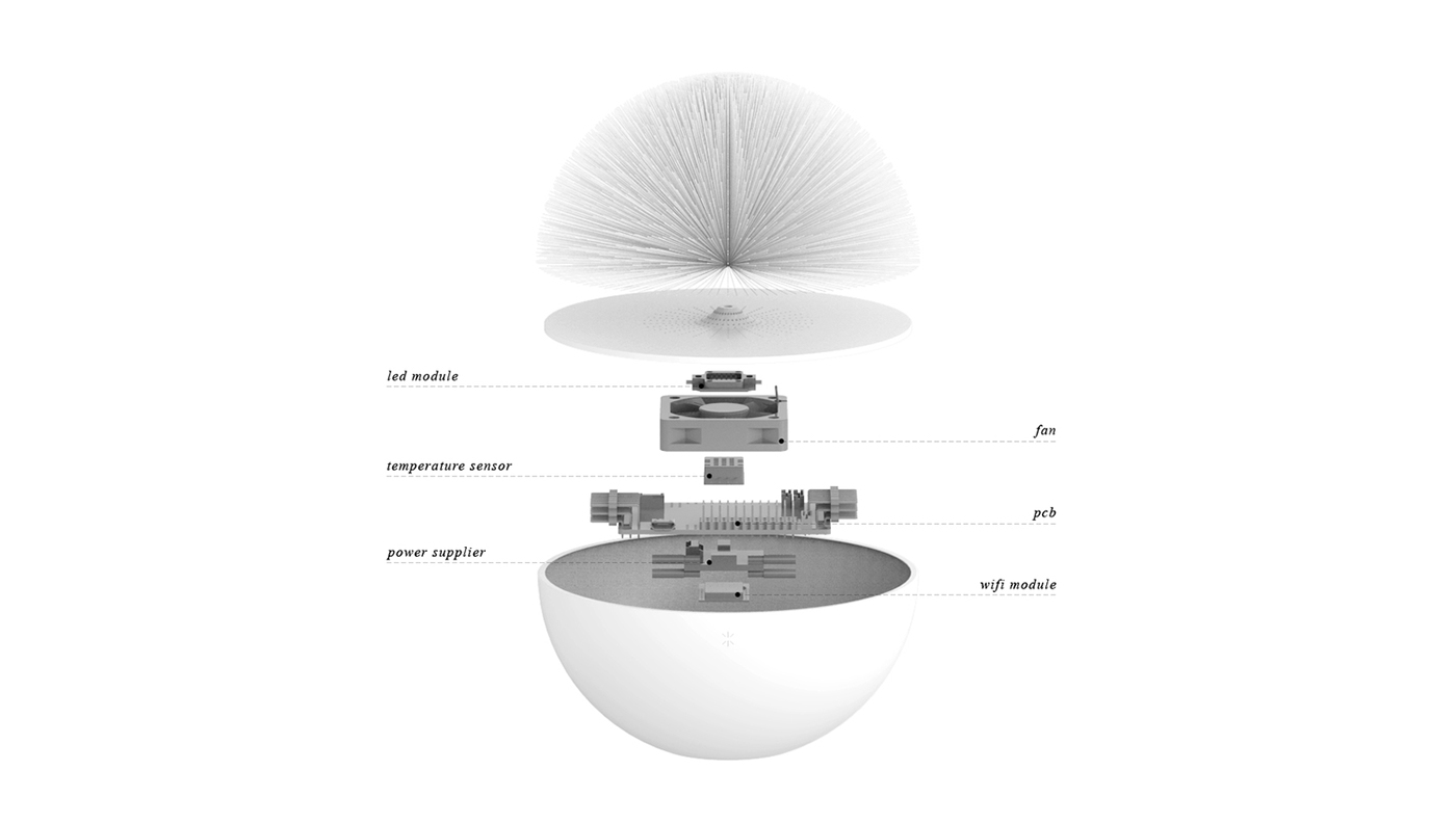 Dandelion，weather forecast，conceptual design，Intuitive perception，originality，