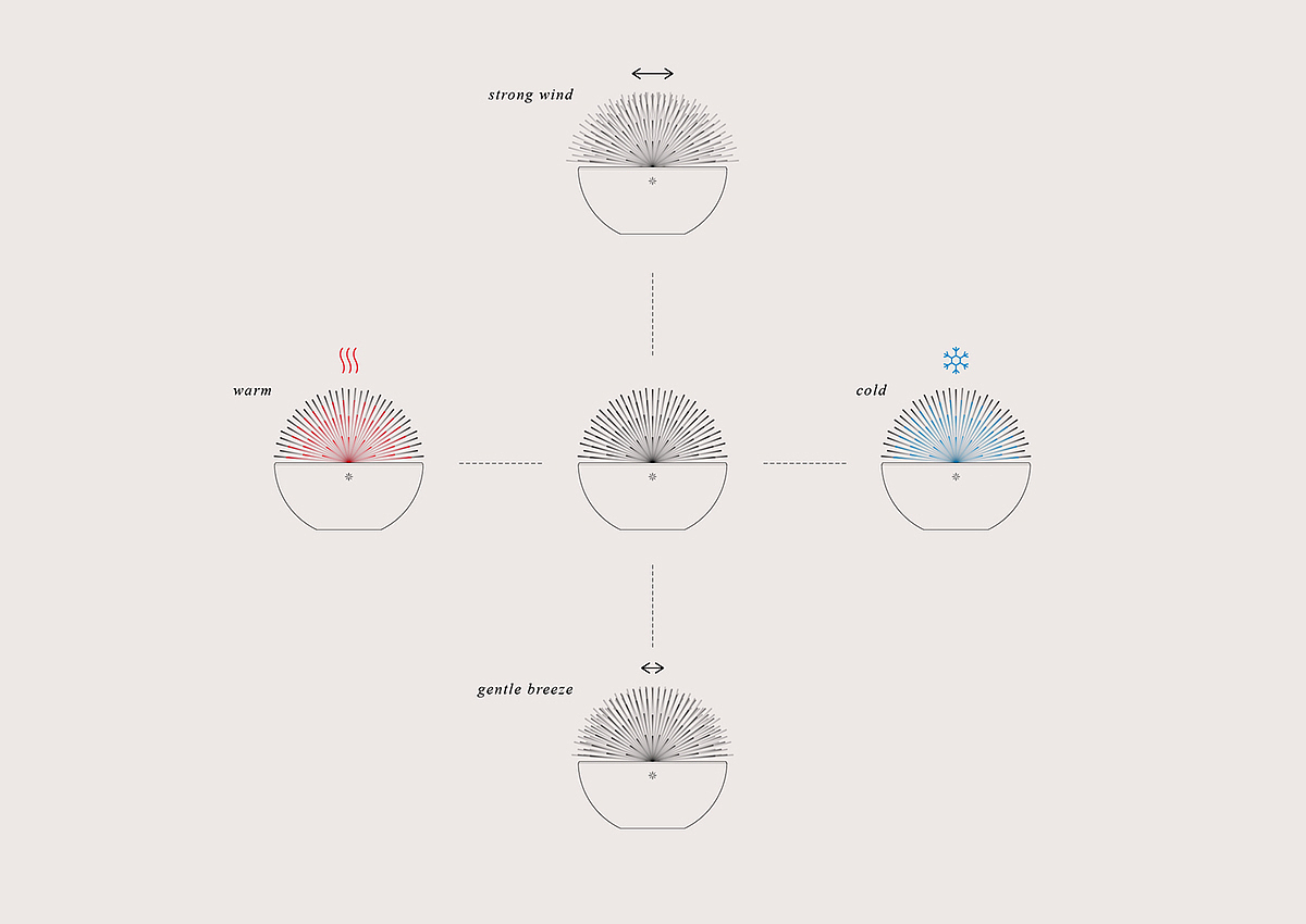 Dandelion，weather forecast，conceptual design，Intuitive perception，originality，