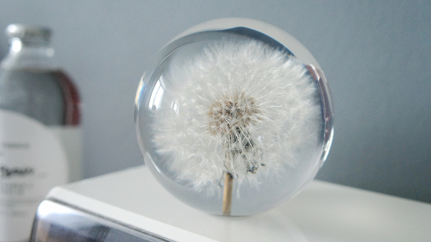 Dandelion，weather forecast，conceptual design，Intuitive perception，originality，