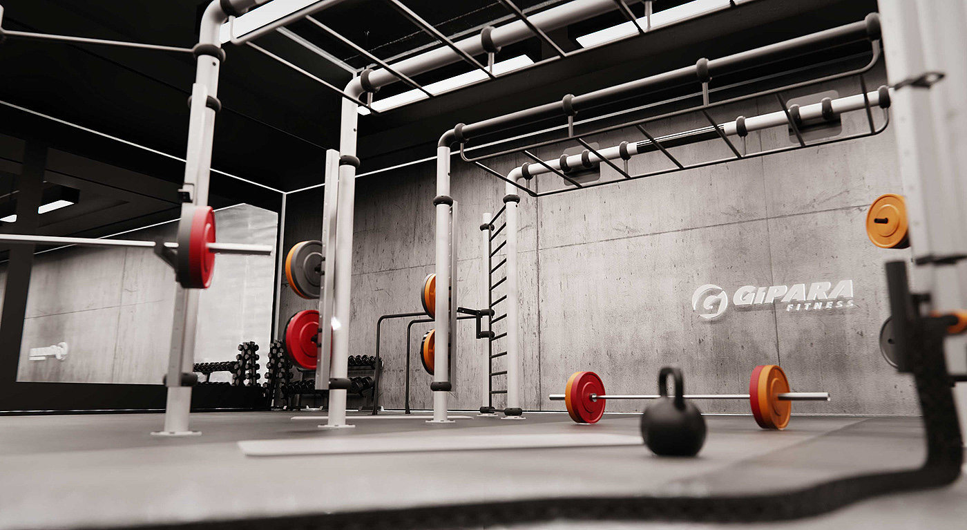 Gipara，Crossfit rig，Fitness Equipment，