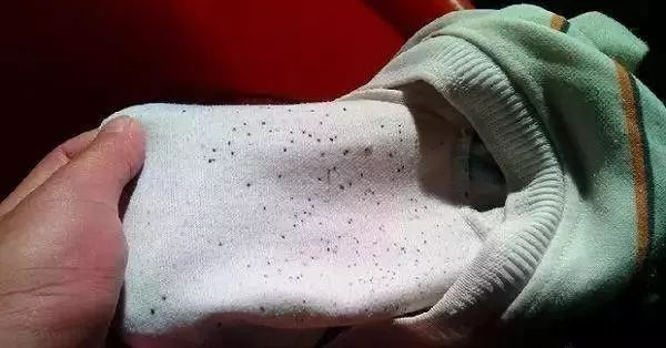 lg，dryer，Double frequency conversion，heat pump，10Kg，intelligence，household electrical appliances，Home Furnishing，