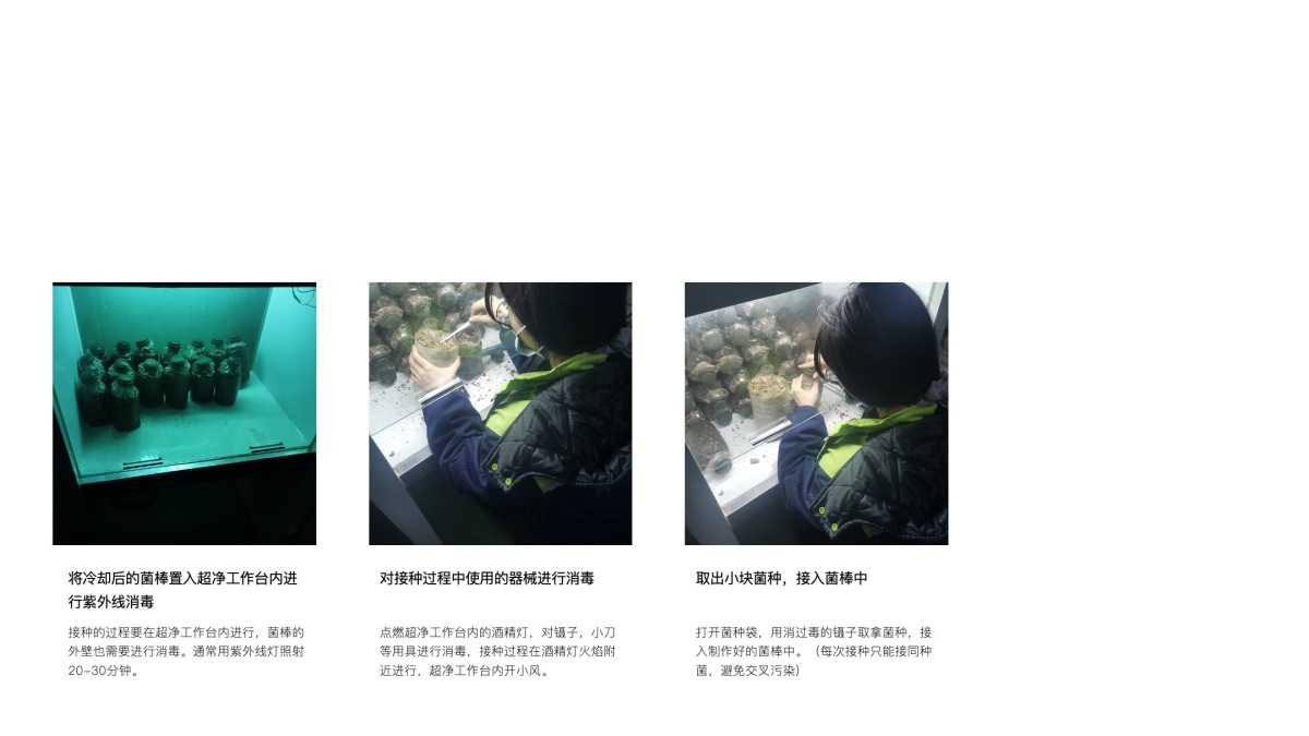 2021 undergraduate graduation design works，Graduation exhibition，School of Design, Hunan University ，edible fungi，Strain growth，