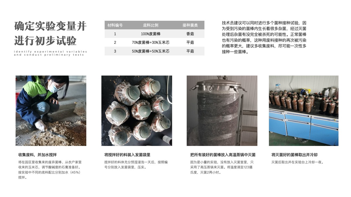 2021 undergraduate graduation design works，Graduation exhibition，School of Design, Hunan University ，edible fungi，Strain growth，