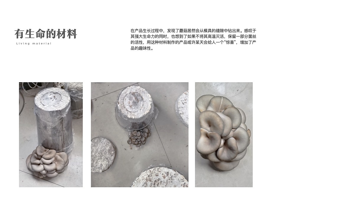 2021 undergraduate graduation design works，Graduation exhibition，School of Design, Hunan University ，edible fungi，Strain growth，