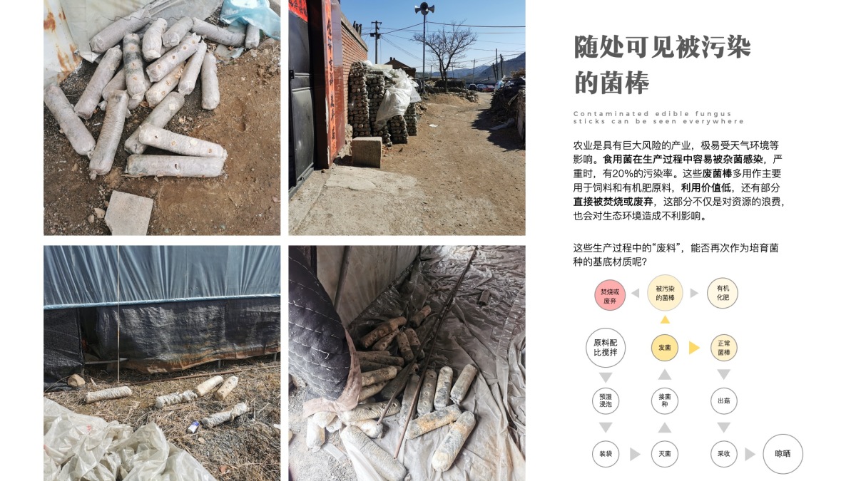 2021 undergraduate graduation design works，Graduation exhibition，School of Design, Hunan University ，edible fungi，Strain growth，