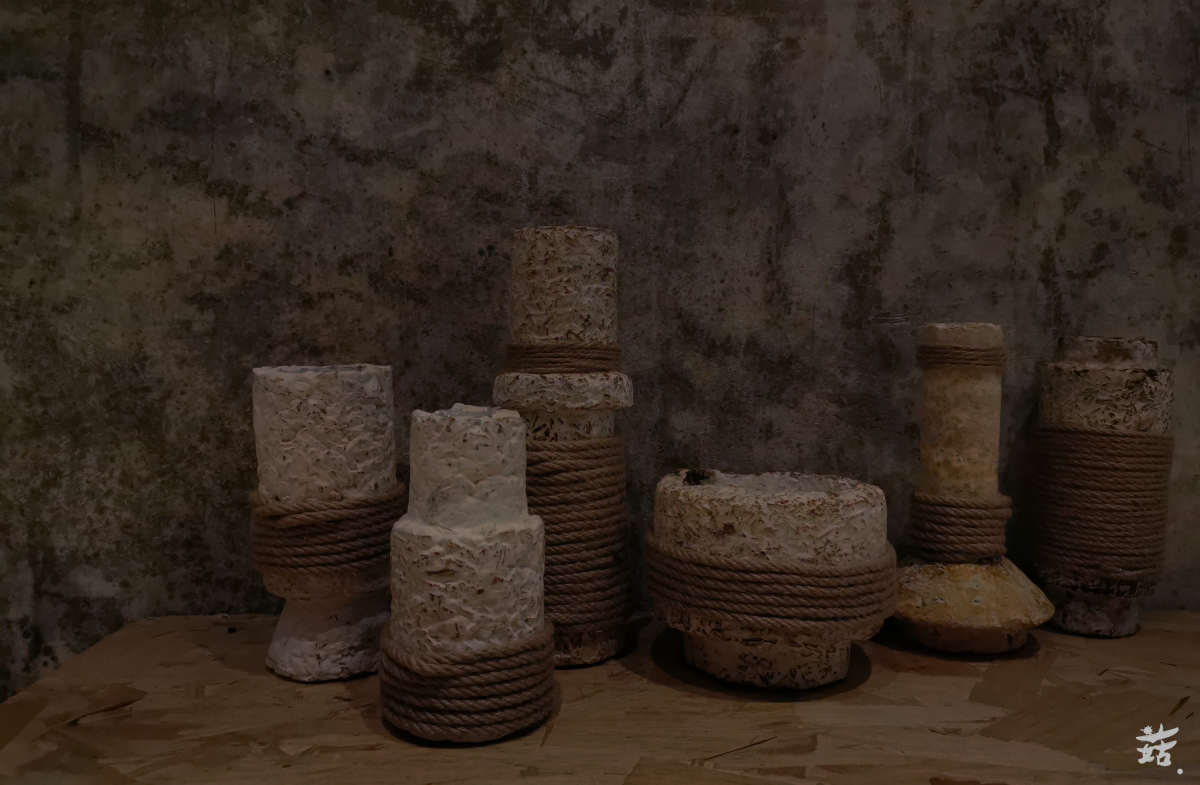 2021 undergraduate graduation design works，Graduation exhibition，School of Design, Hunan University ，edible fungi，Strain growth，