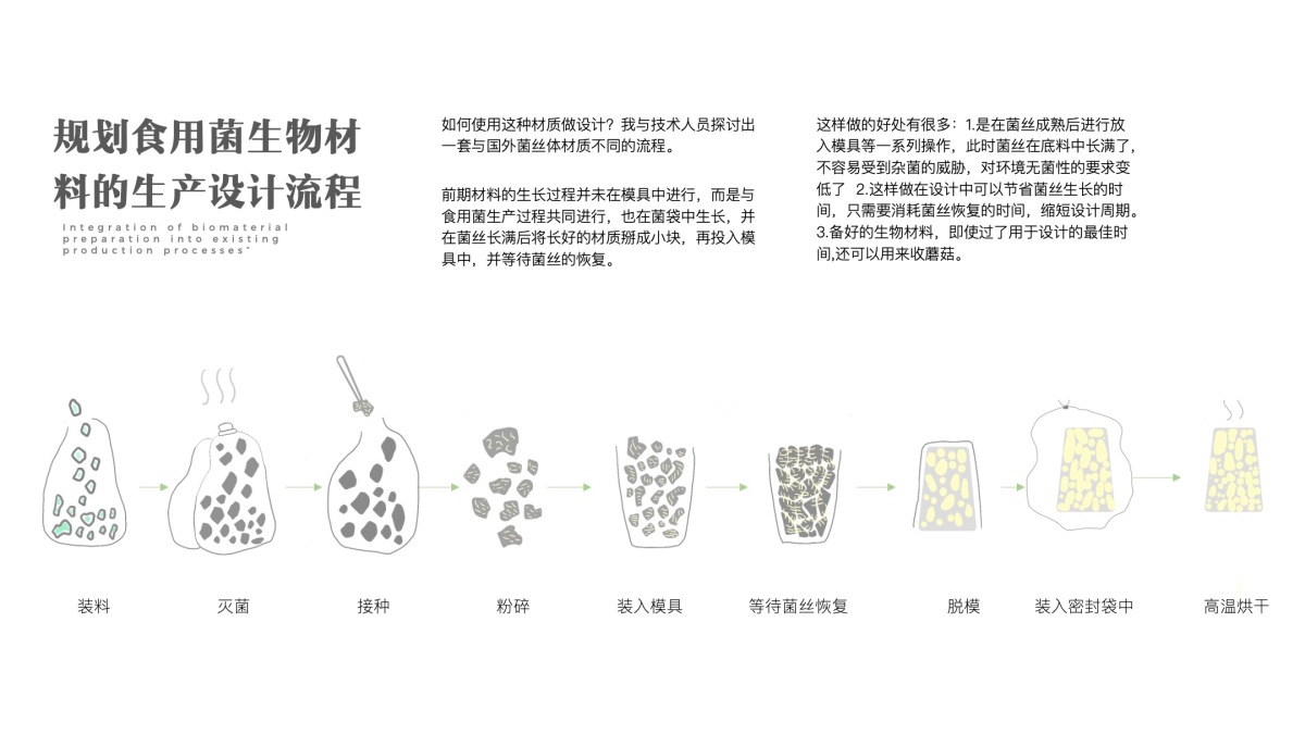2021 undergraduate graduation design works，Graduation exhibition，School of Design, Hunan University ，edible fungi，Strain growth，