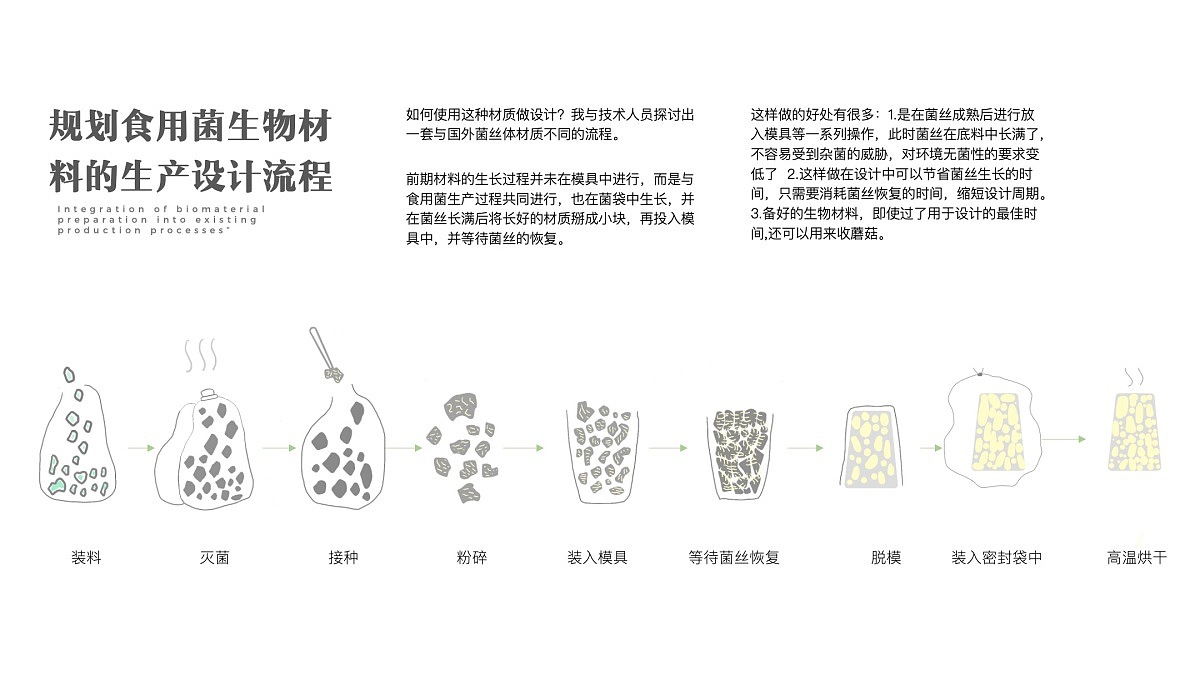 2021 undergraduate graduation design works，Graduation exhibition，School of Design, Hunan University ，edible fungi，Strain growth，