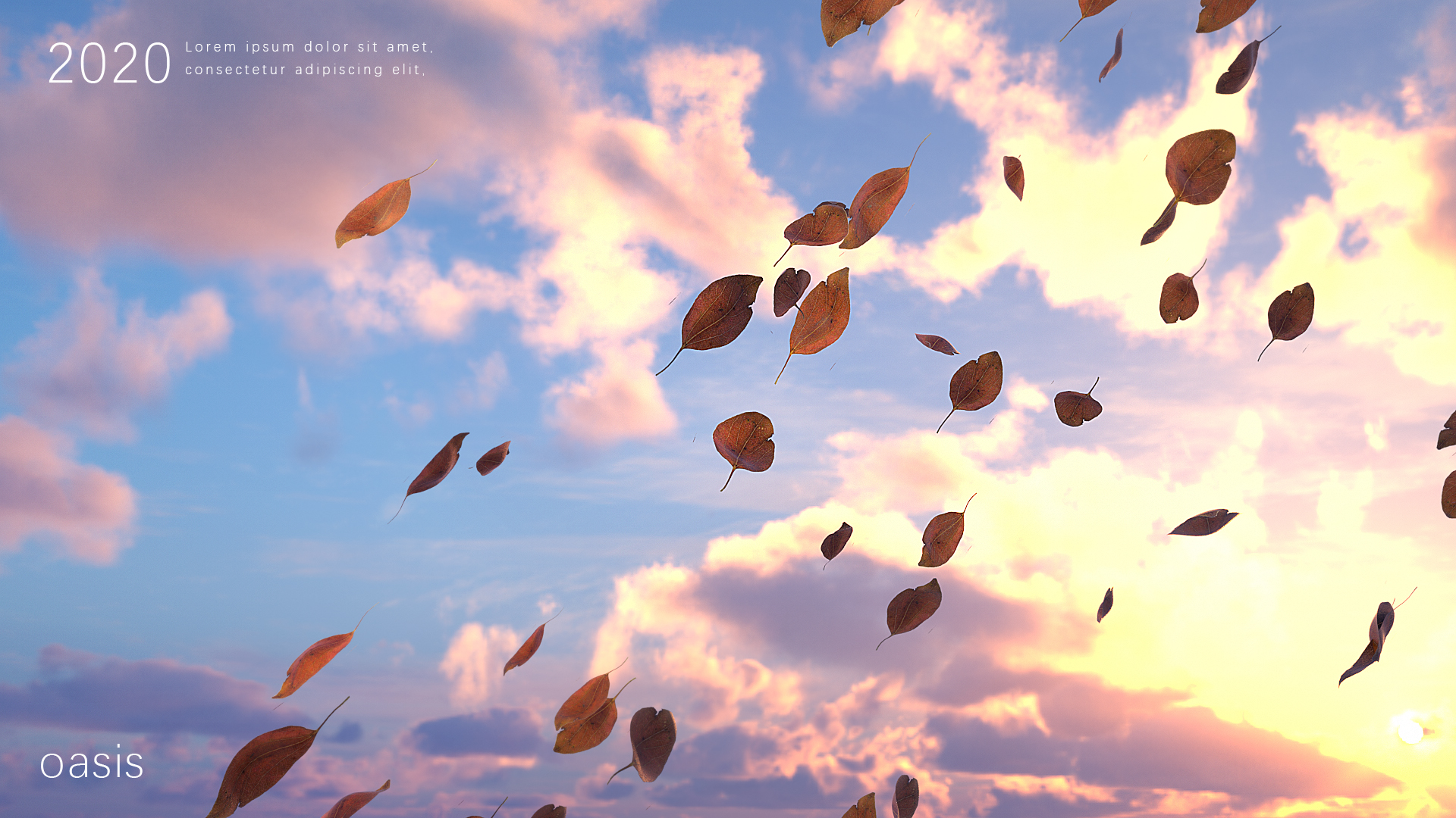 rhinoceros，c4d，oc，rhinoceros，