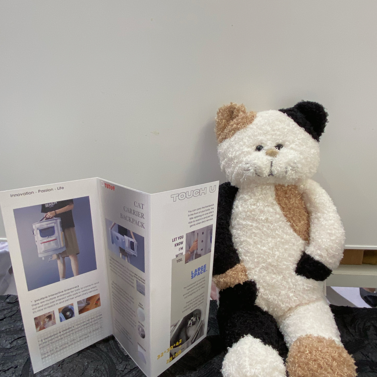 2021 undergraduate graduation design works，Graduation exhibition，School of Design, Hunan University ，Cat Backpack，Travel，