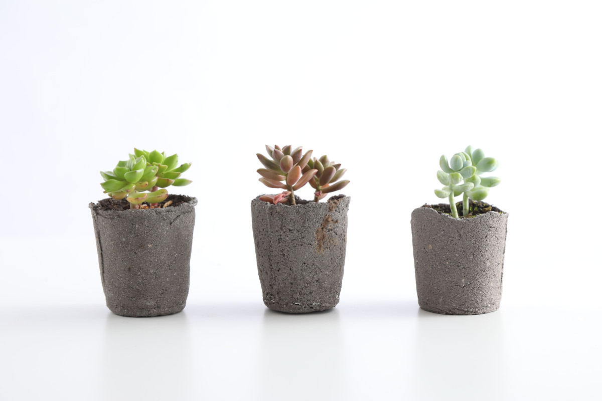 2021 undergraduate graduation design works，Graduation exhibition，School of Design, Hunan University ，Bone charcoal material，Secondary processing，