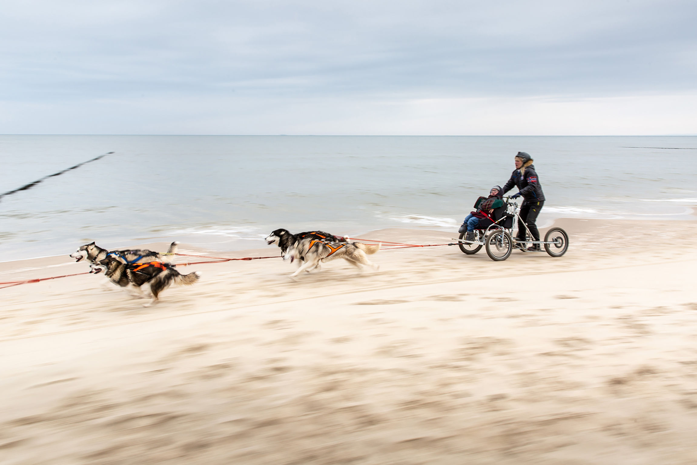 2021 red dot product design award，LUISA，portable，Household ventilator，