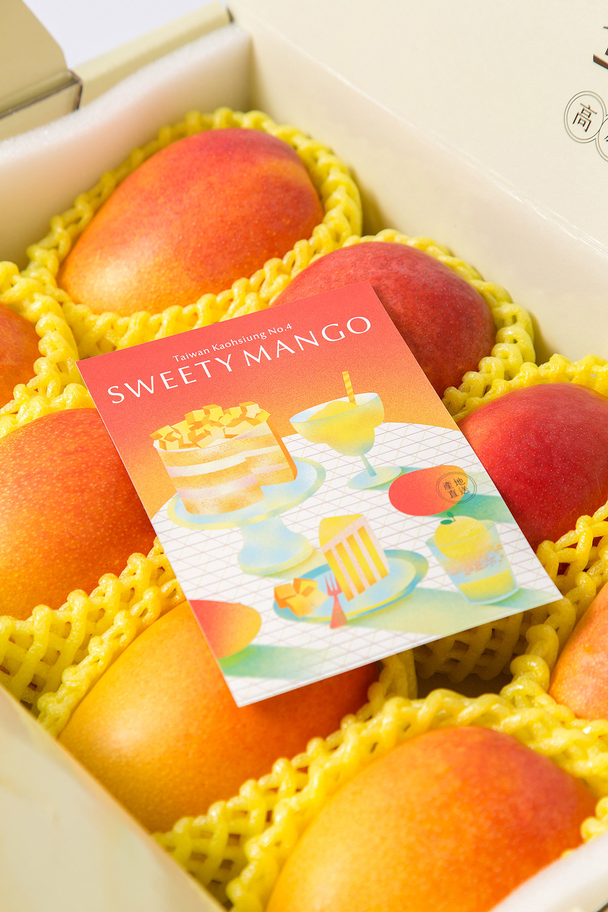 Mango，Gift box，Michelle ，