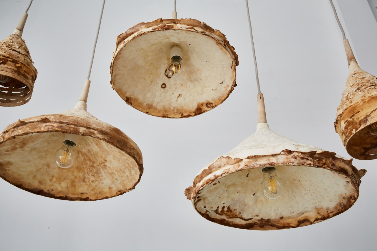 sustainable，Mushroom lamp，Funnel shape，