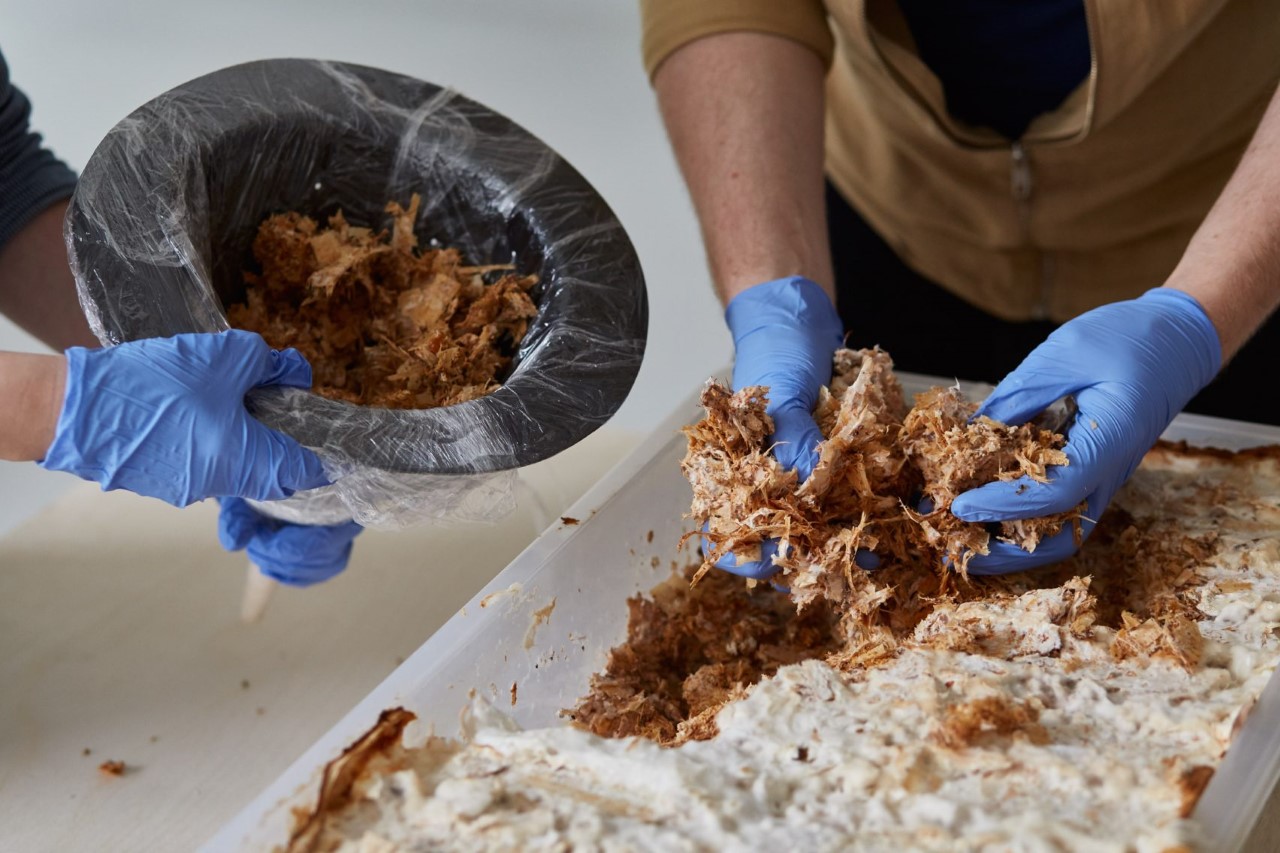 sustainable，Mushroom lamp，Funnel shape，