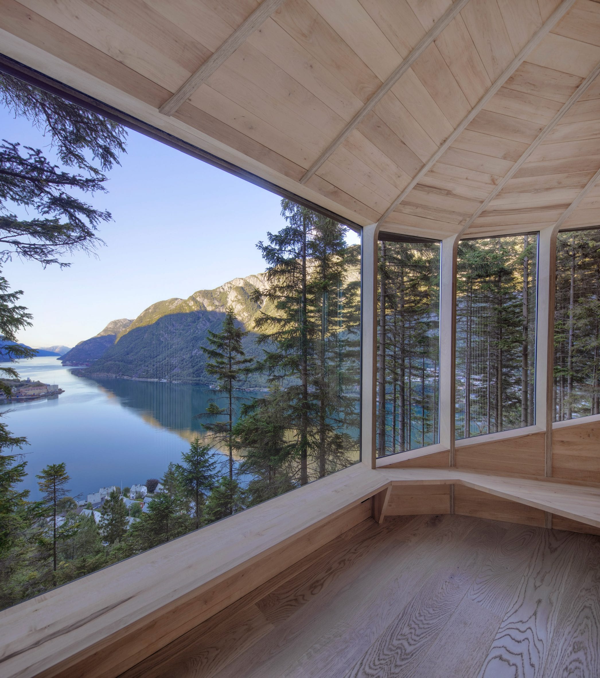 挪威峡湾上方的松树上悬挂着一个木巢树屋