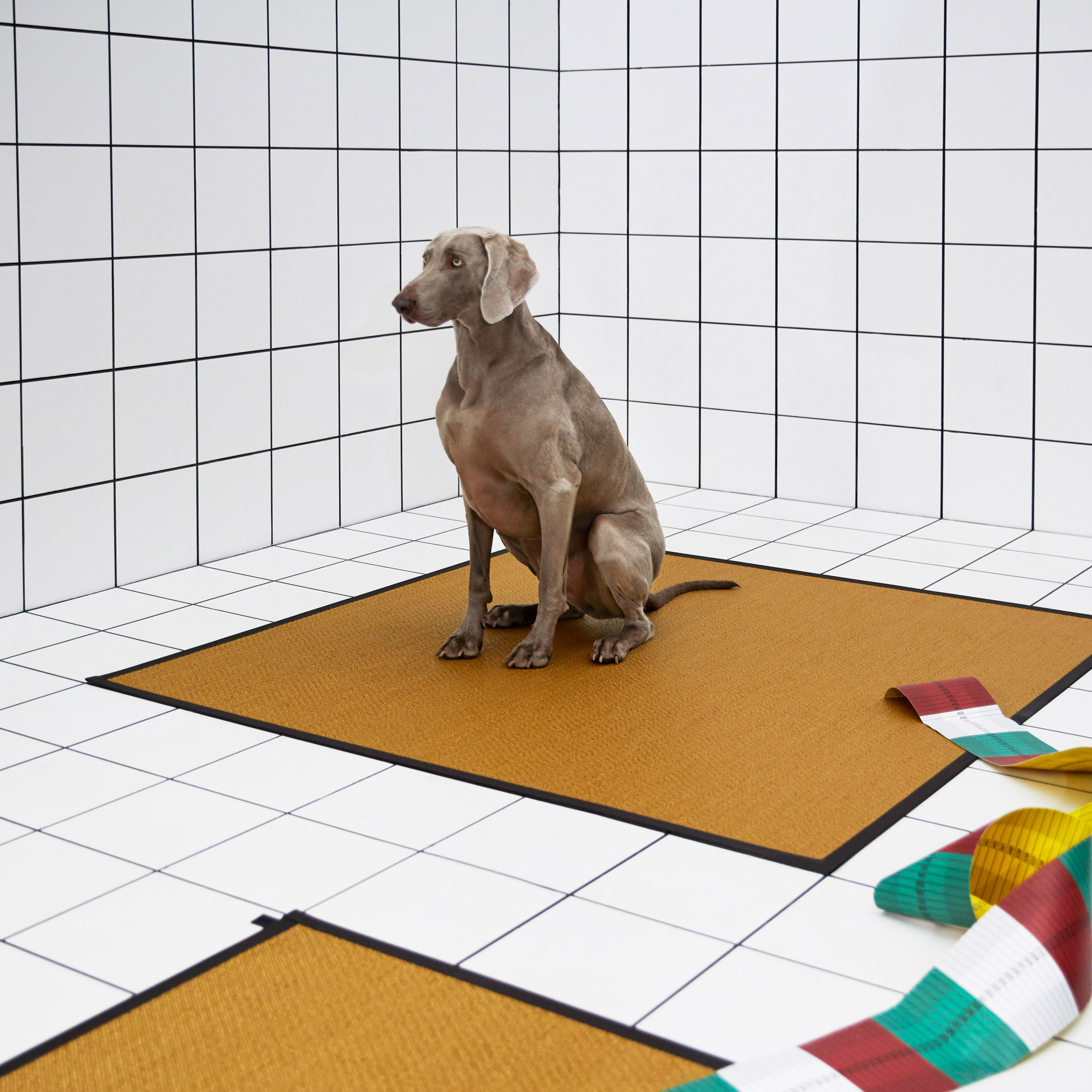 Panto Pop，chair，Hanging fireplace，cupboard，