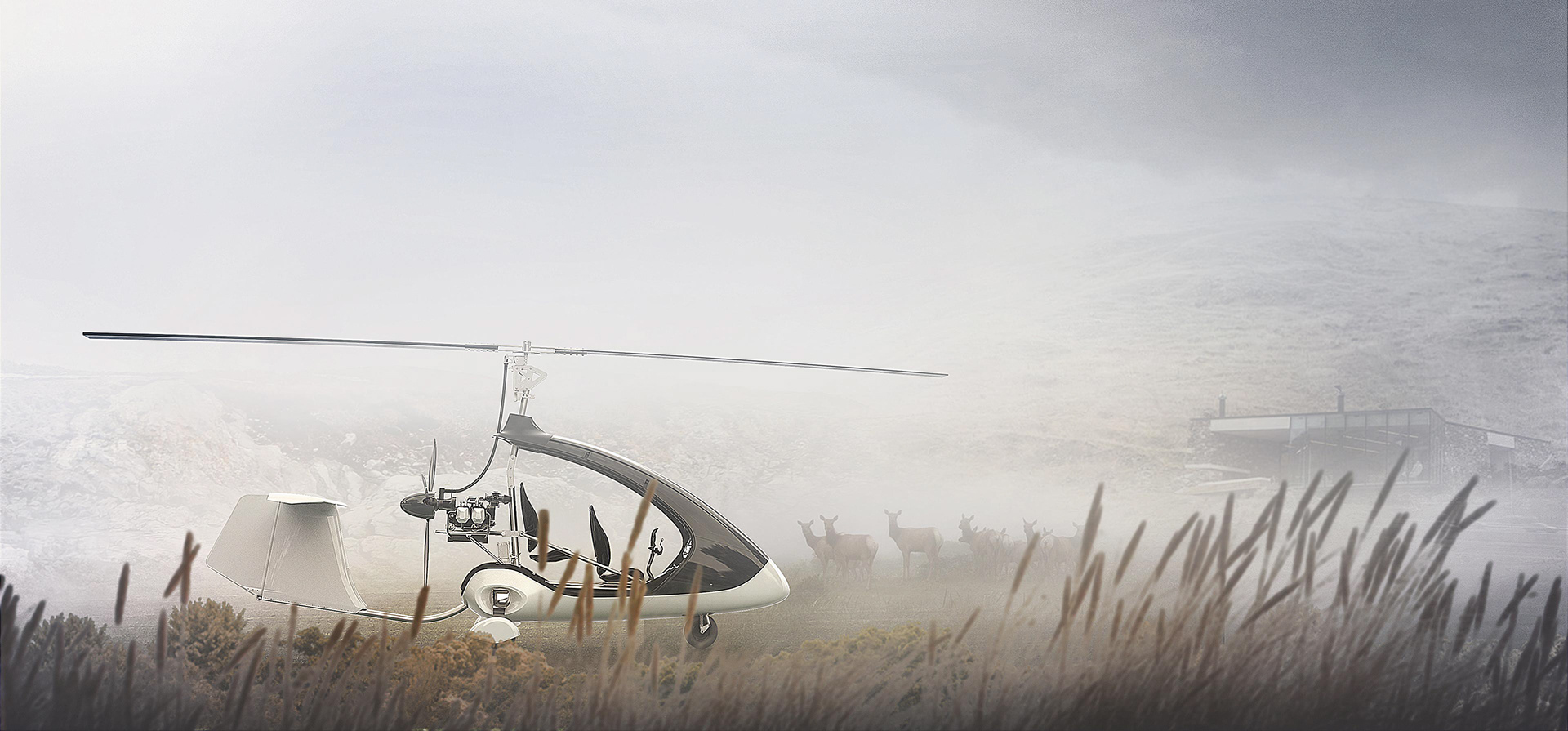 TRENDAY，aviation，transport，