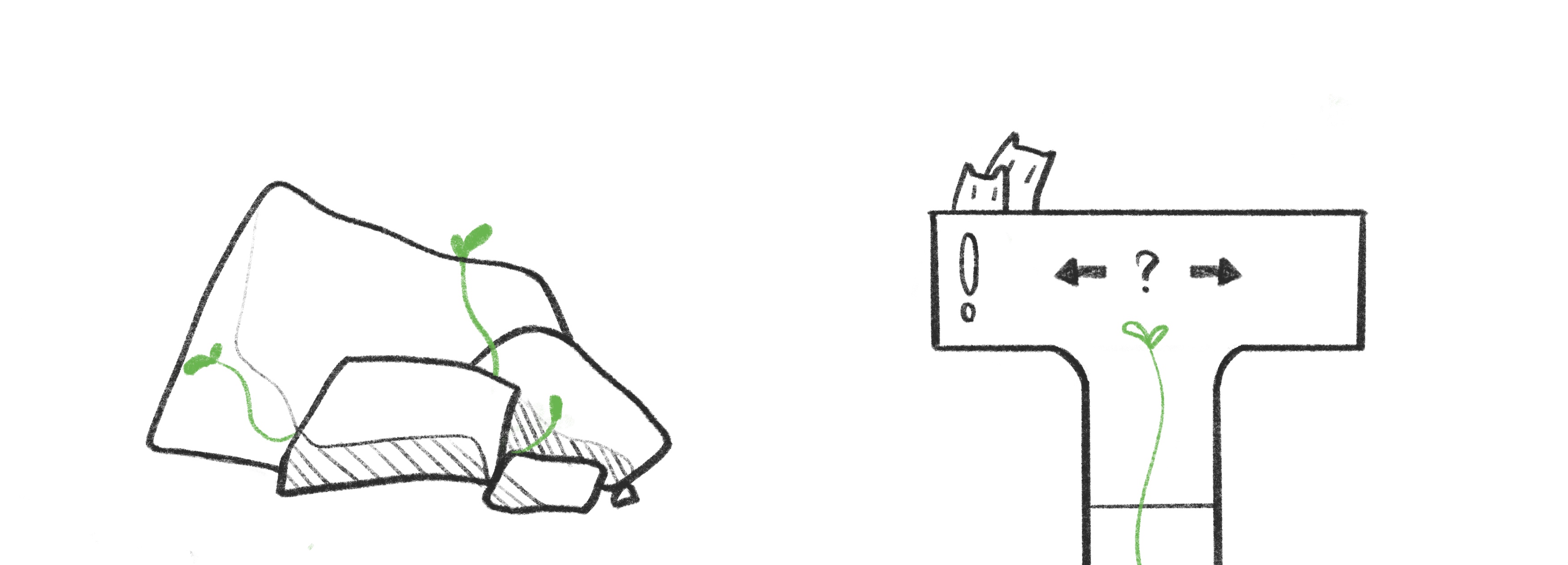 plant culture，Souptoys，Mother and baby，Toys，