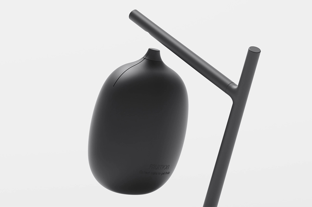 Piggy bank，originality，Fruit shape，