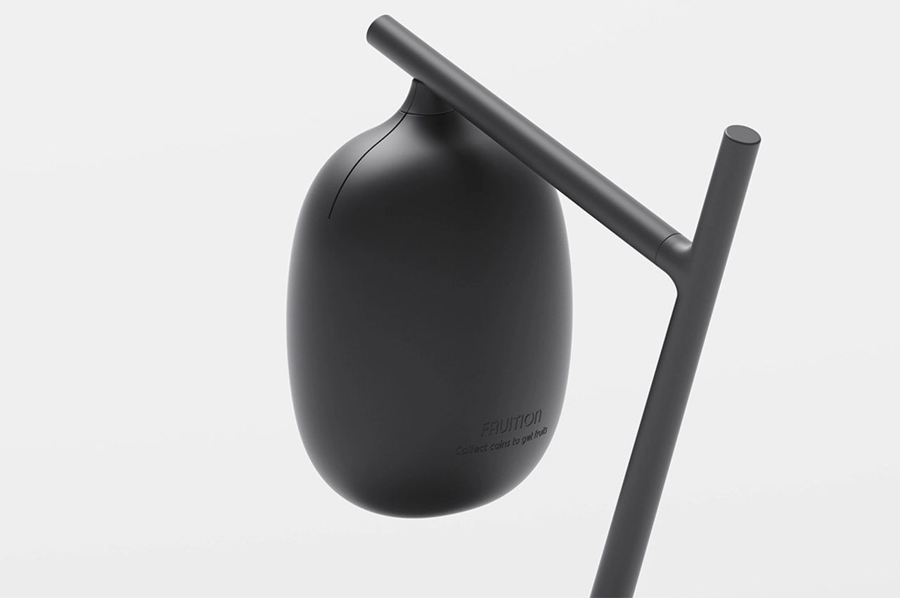 Piggy bank，originality，Fruit shape，